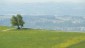 Am Hochkogelkamm angelangt reicht der Ausblick nach Norden bis Amstetten und ins Donautal.