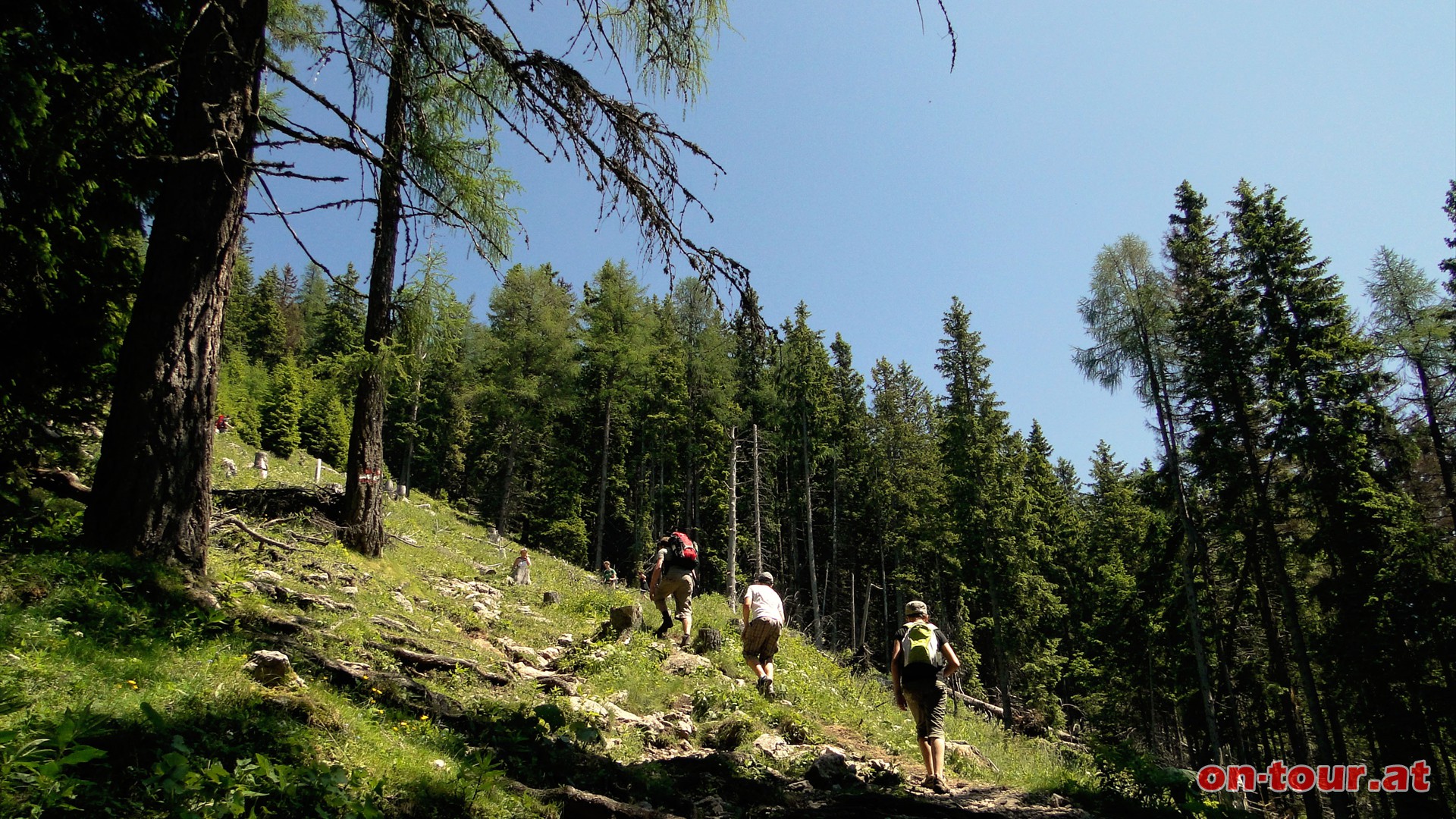 Jetzt noch die letzten 300 Hhenmeter, teilweise etwas steiler, in Serpentinen bergauf, .....