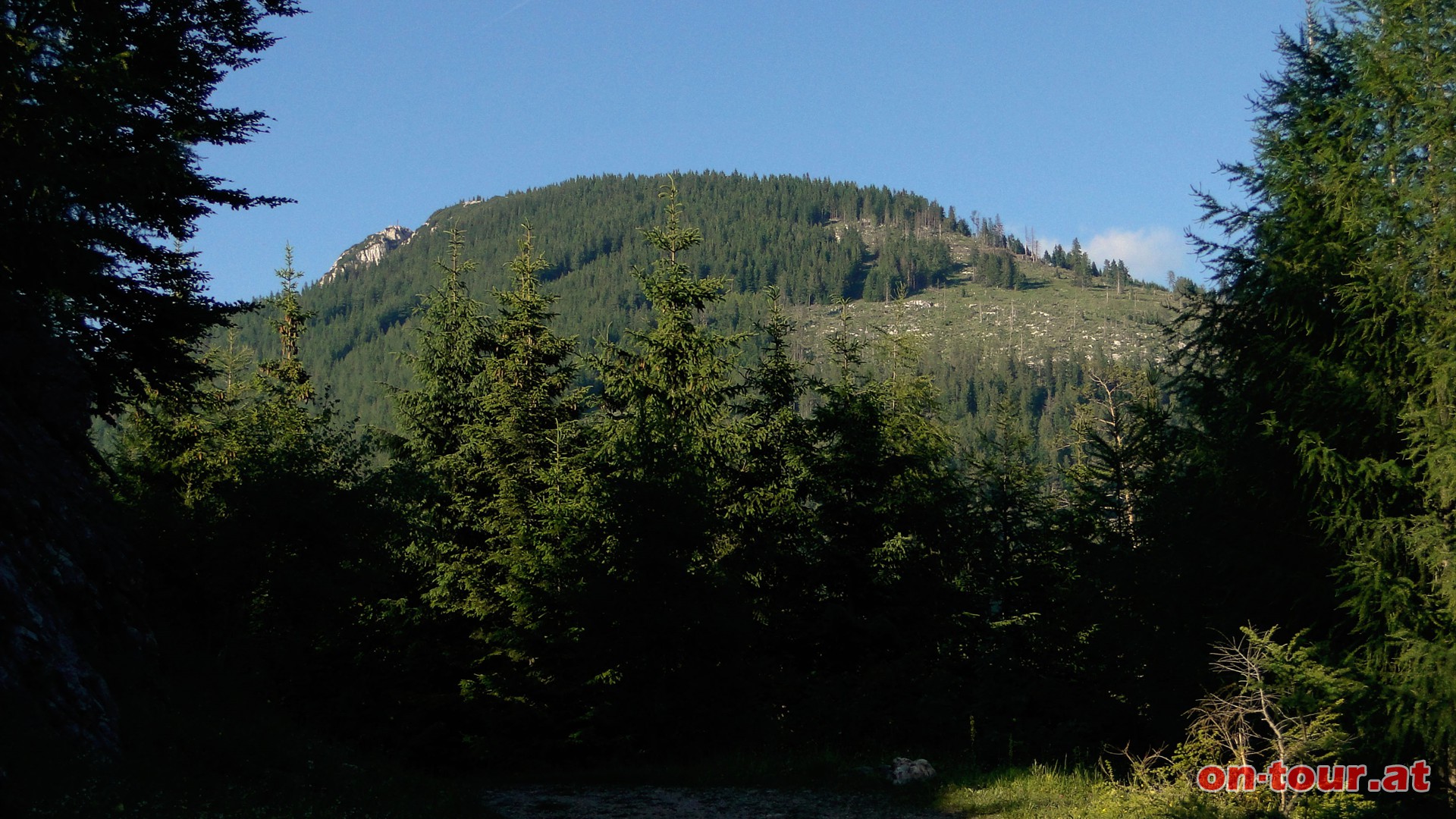 Nach dem -Guten Hirten- auf der Forststrae Richtung Mautstatt (SW). Im Rcken der Hochlantsch. Die Strae wird zum sogenannten -Prgelweg-; aber keine Angst..