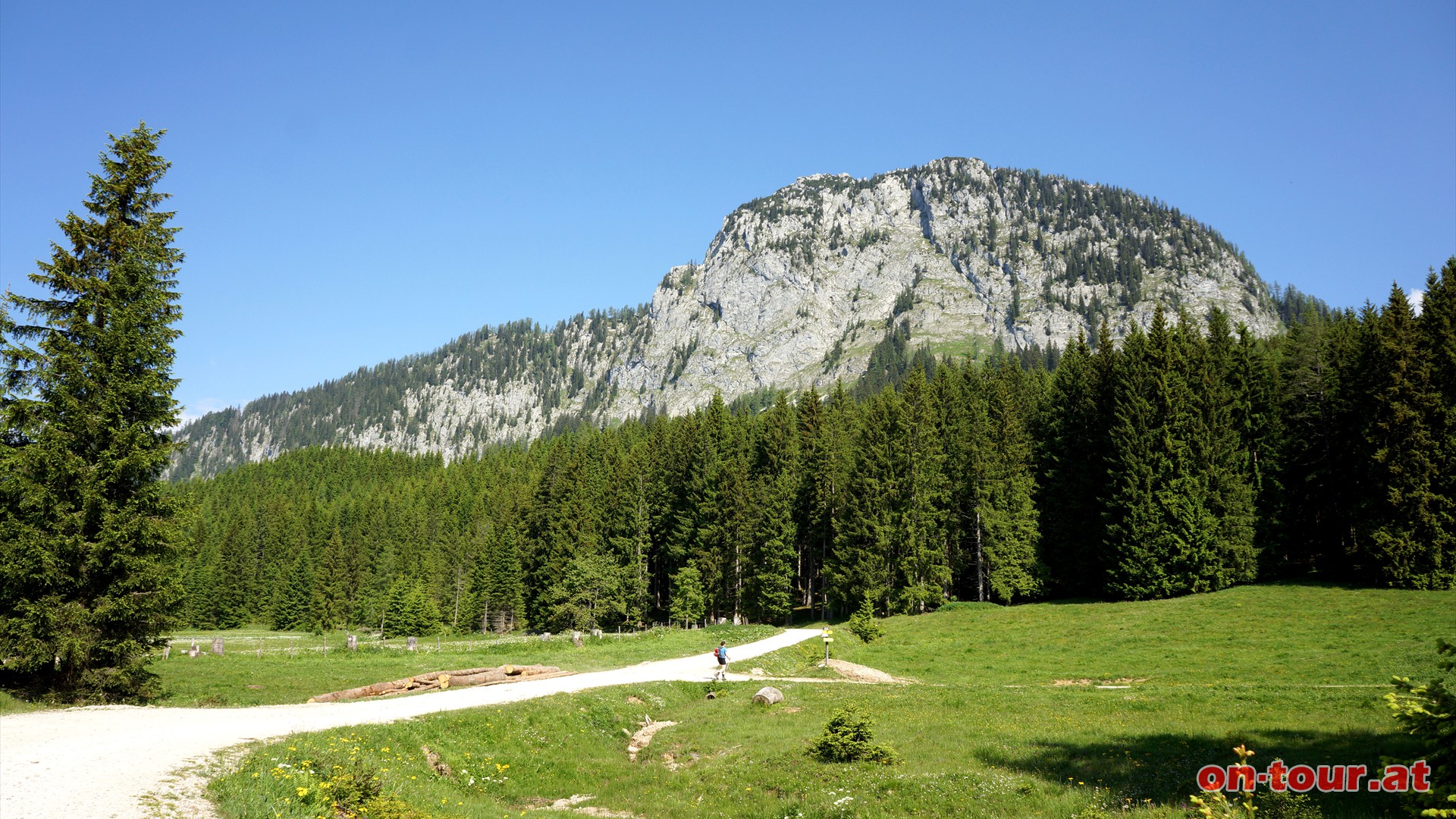 Der Hochtausing ist zu Beginn sehr dominant.