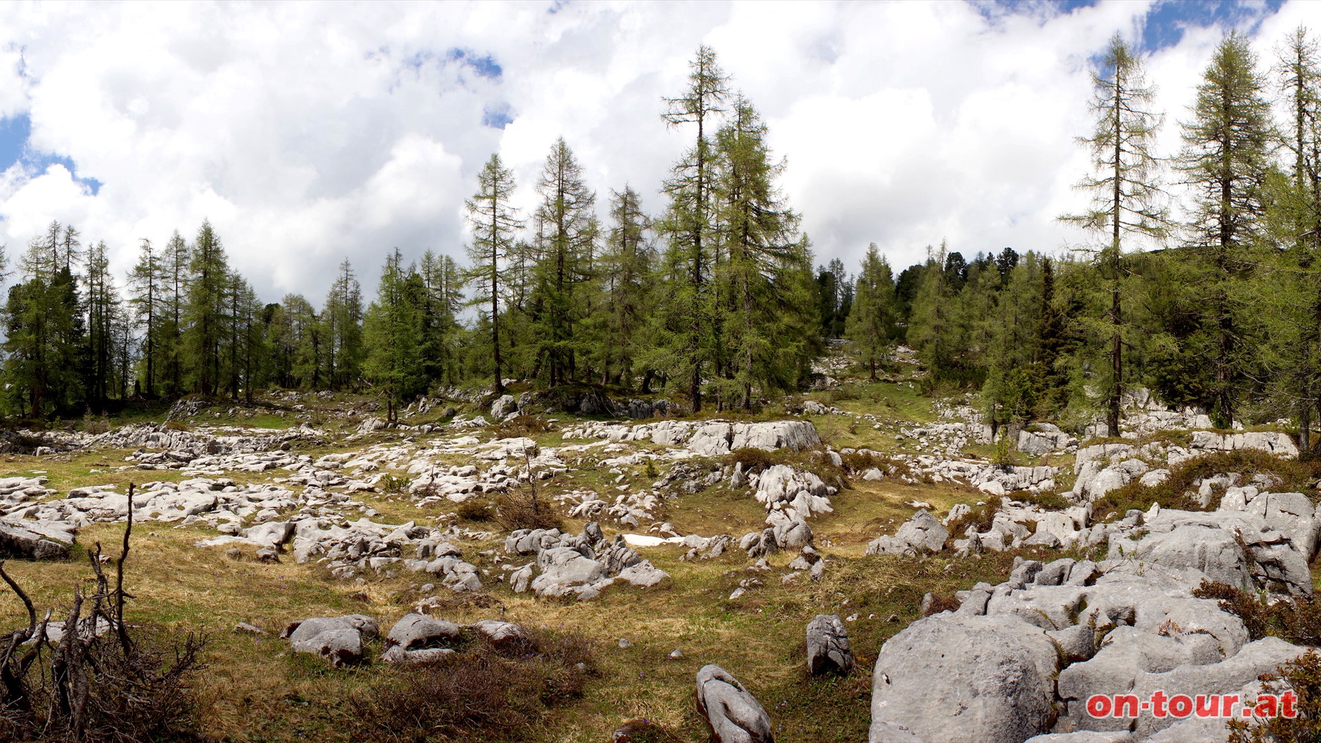 Zu den Lrchenweiden gesellen sich weiters auch noch die, fr das Tote Gebirge typischen, Karstflchen.