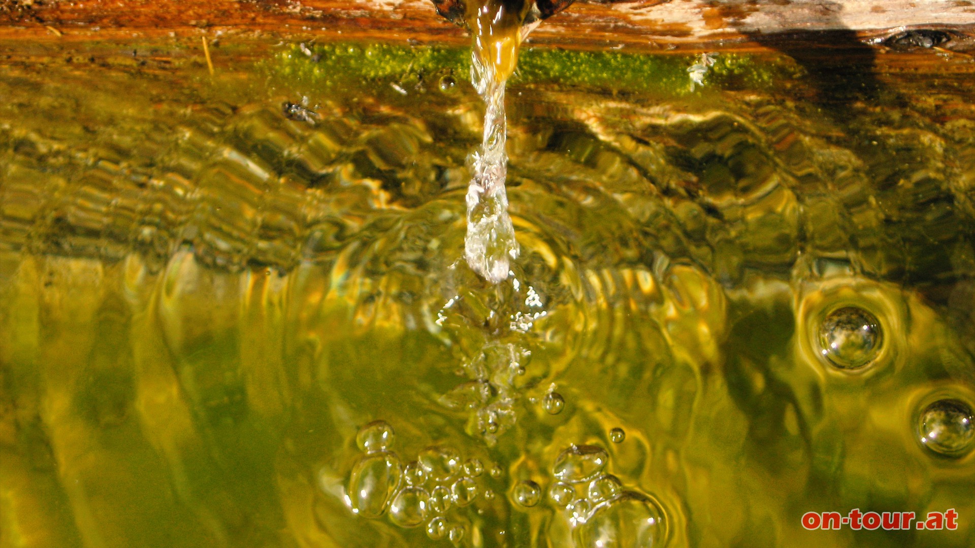 Die kalte Quelle spendet bis zu 0,5 Liter pro Sek. ein köstlich, erfrischendes und belebendes Bergwasser.