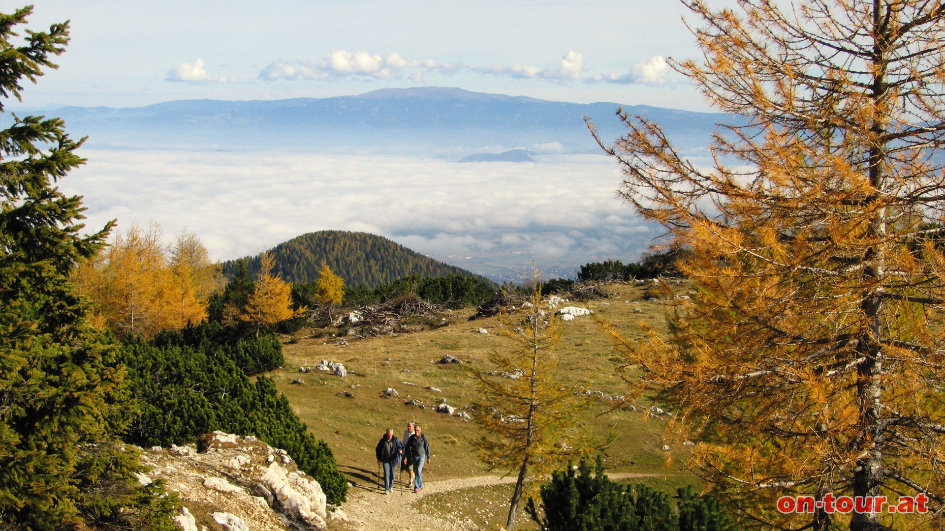 Im Nordosten liegt der krntnerisch-steirische Gebirgszug Koralpe.