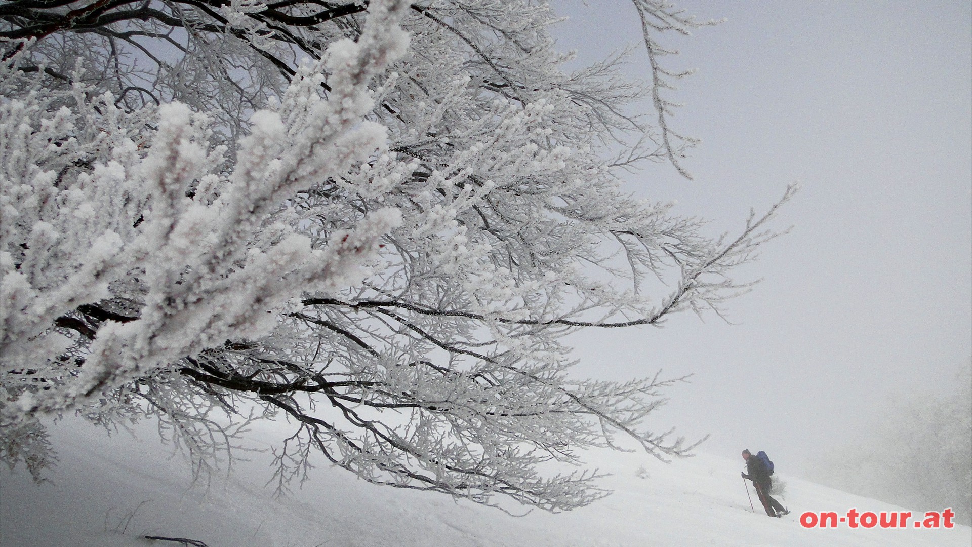 Ohne Motoruntersttzung kann man die prchtige Winterlandschaft intensiver genieen.