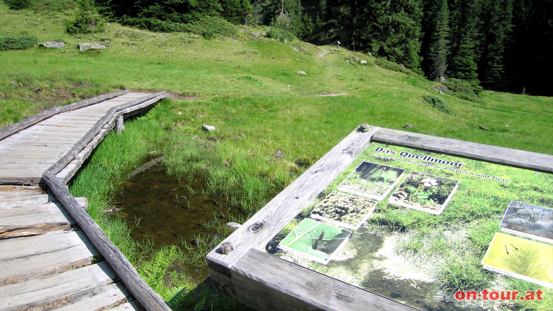 Ein interessanter Naturlehrweg.