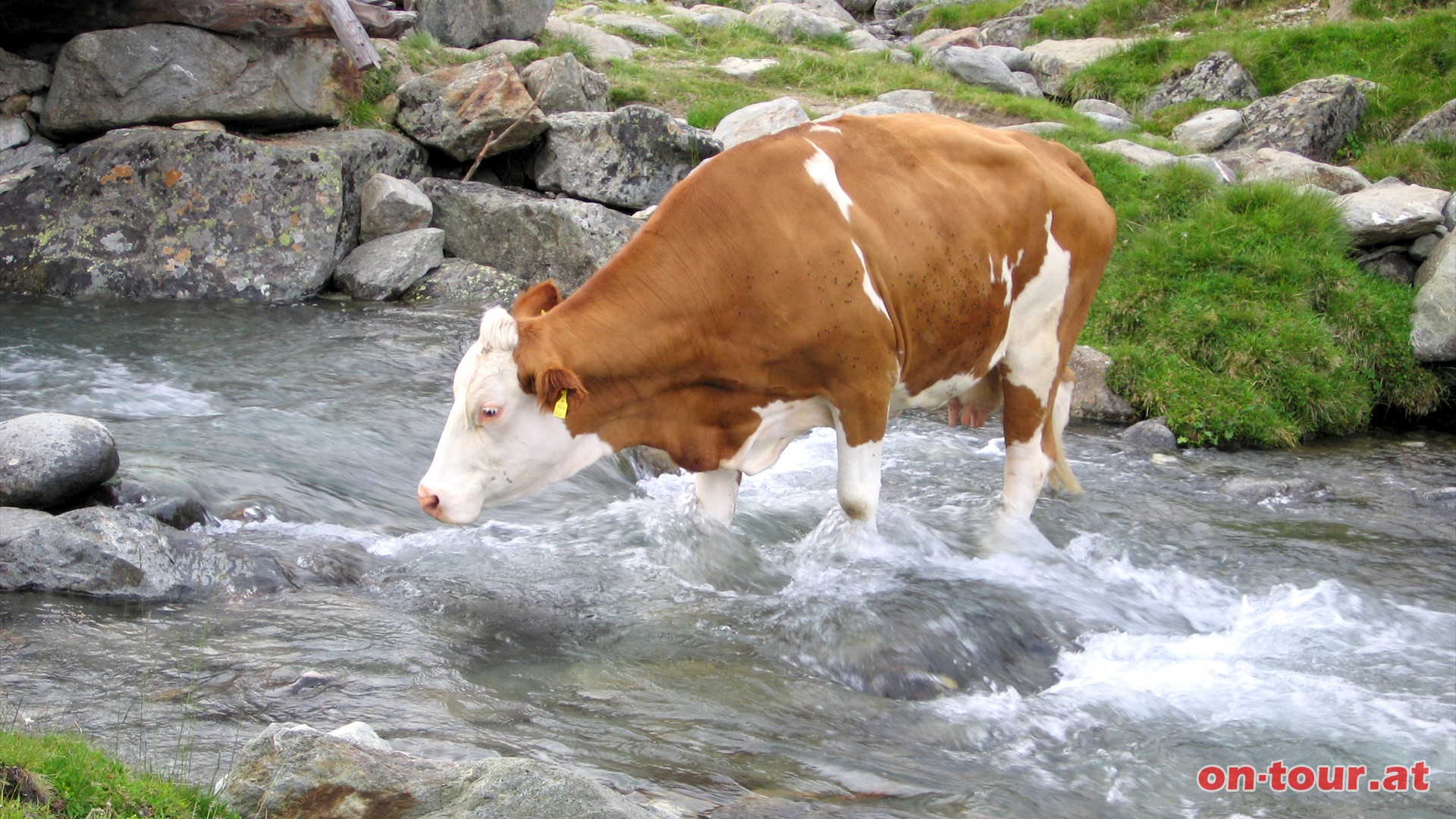 Ein khles Bad erfrischt. Die Anrainer hier schtzen das khle Nass.