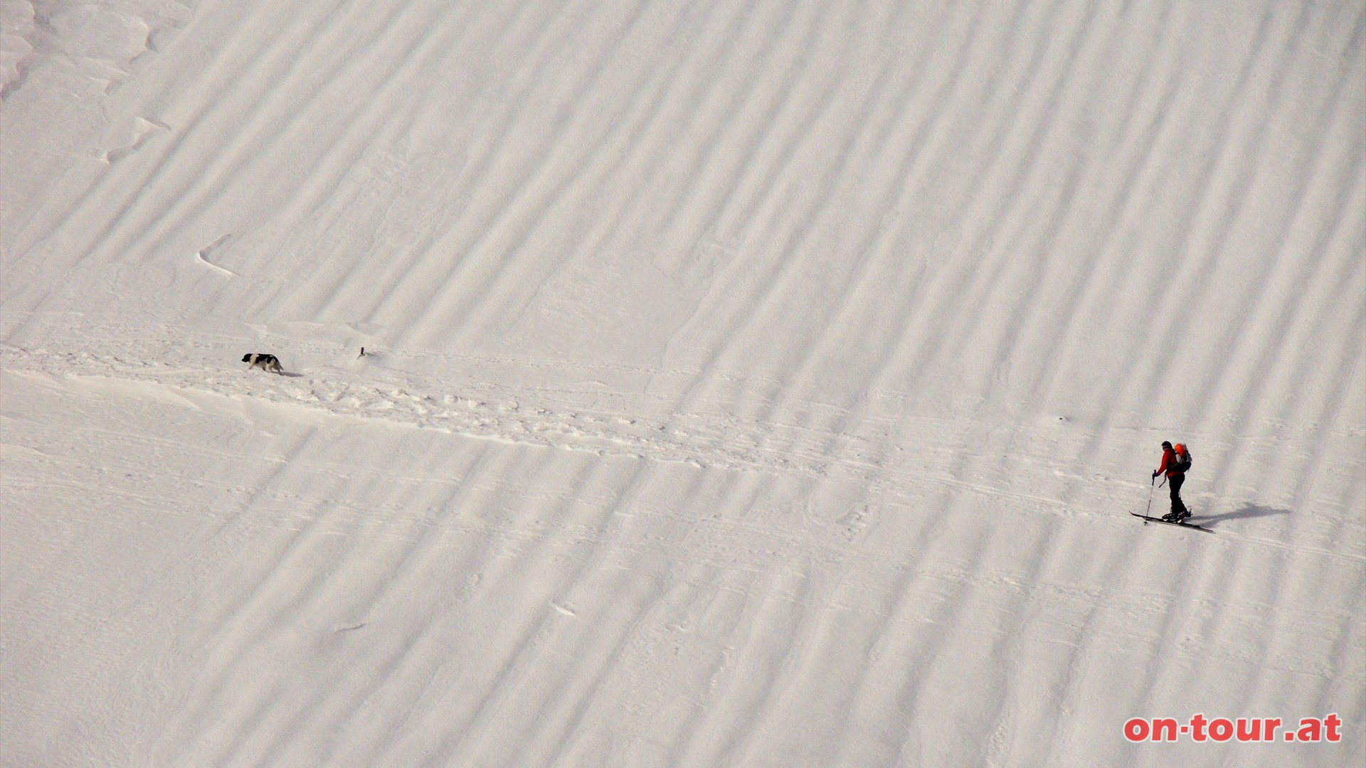 Unterhalb der Eismauer kreuzen sich die Linien.