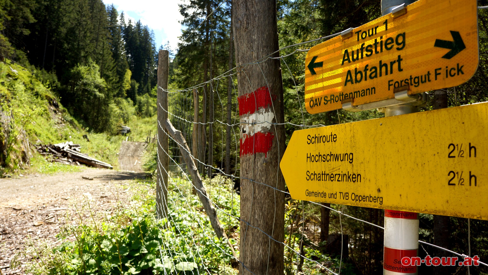 Bei der dritten Kehre wird der Wanderweg eigenstndig und hlt nun relativ direkt, in sdstlicher Richtung auf den Hochschwung zu.