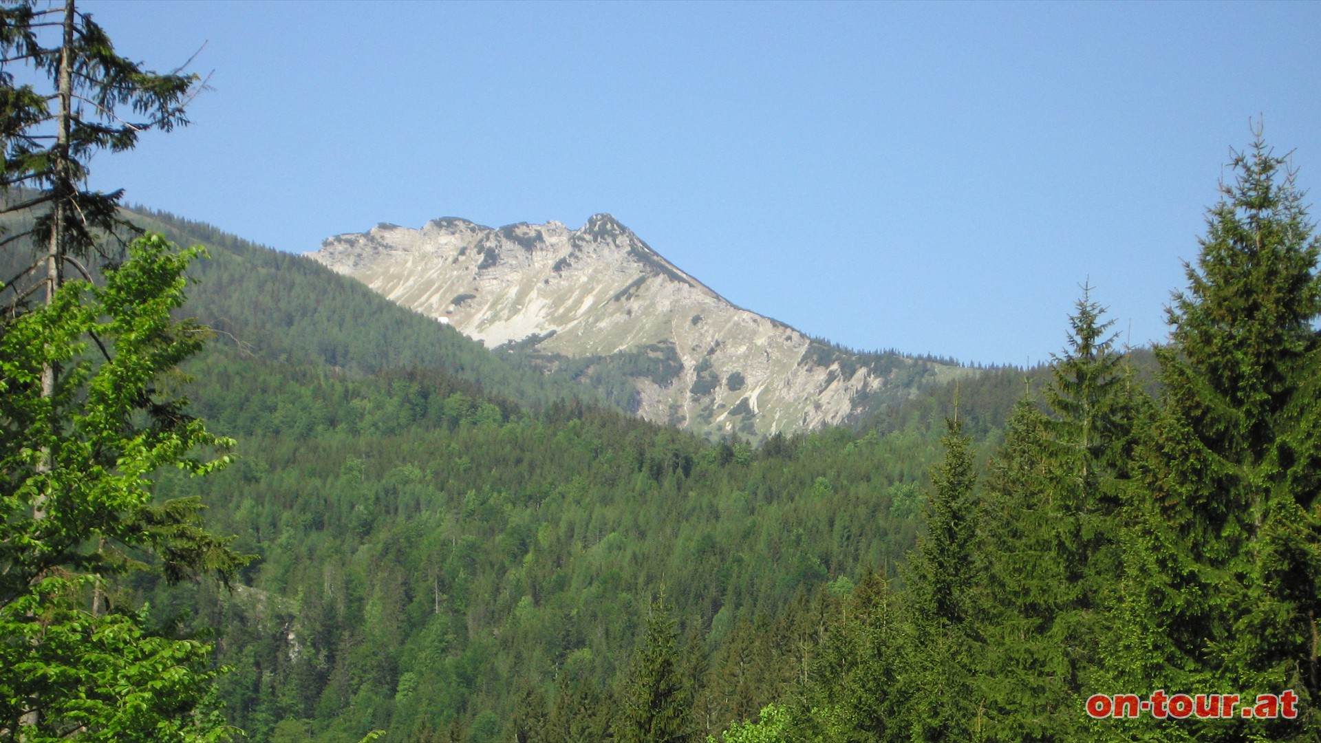 Blickimpressionen vom Fadenkamp. Der Weg fhrt auf dem etwas langen Forststraenabschnitt gut markiert bergauf. Teilweise fhren Straenabzweige nach links bergab - also, auf die Markierung achten (rot-289). 