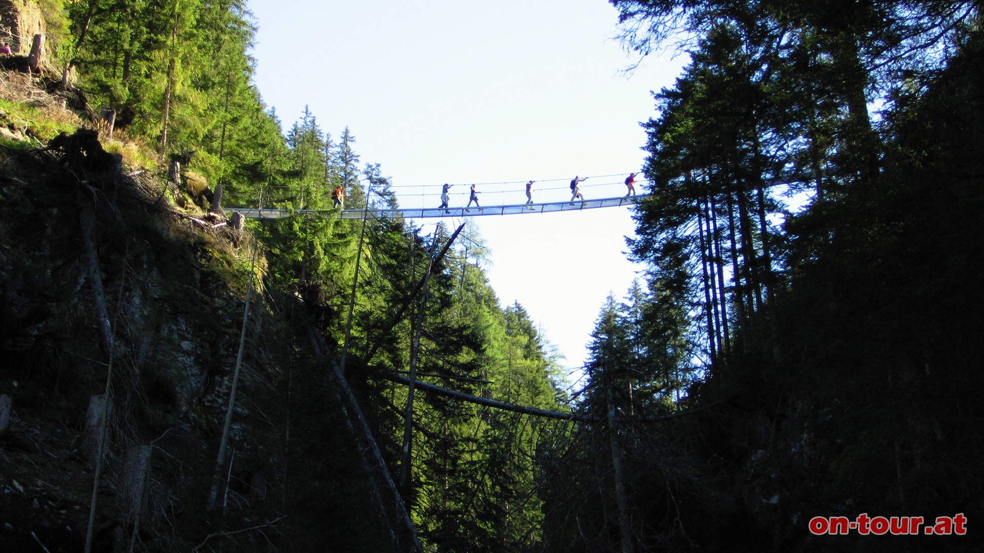 Auf der Wasserfallbrcke. Blick auf die Seilbrcke ber dem Riesachbach.