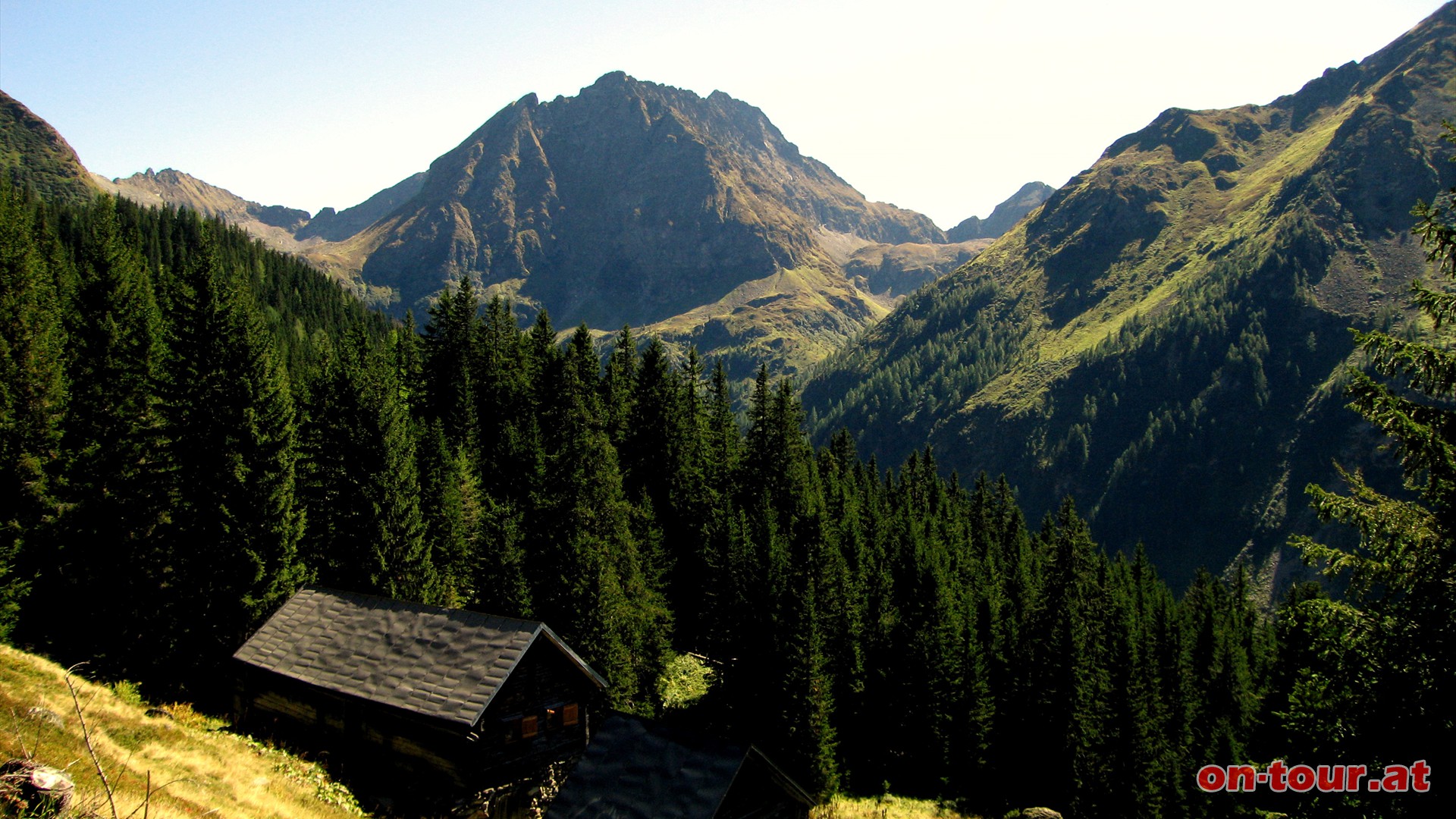 ber die Brandalm zur Neualm. Im Sden das Waldhorn.