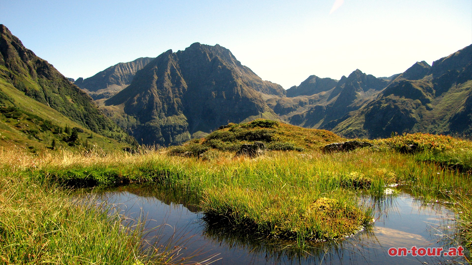 Ein Weiher mit Waldhorn Ausblick.