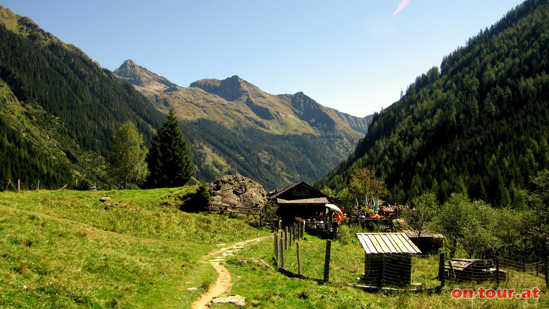 Obere Gflleralm. Links im Hintergrund die Hochwildstelle.