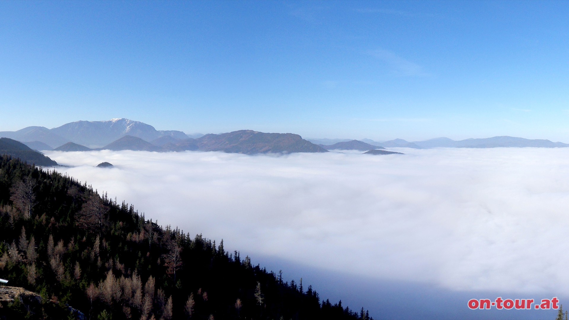 Insel-Urlaub auf der Hohen Wand bei Sptherbstnebel in Tallagen