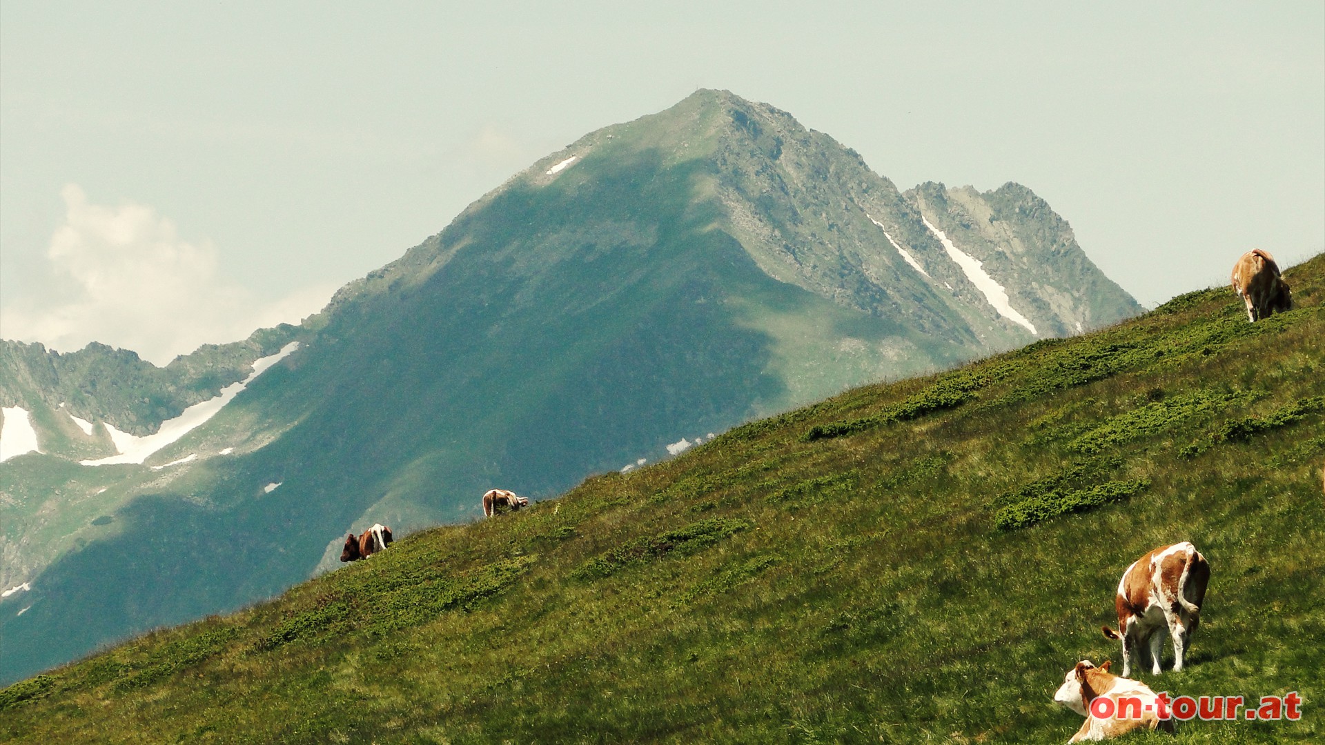 .... die Schoberspitze mit 2.423 m Seehhe.
