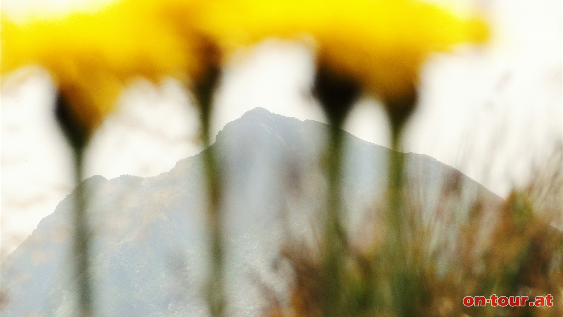 Im SW dominiert noch immer die Hochweberspitze.