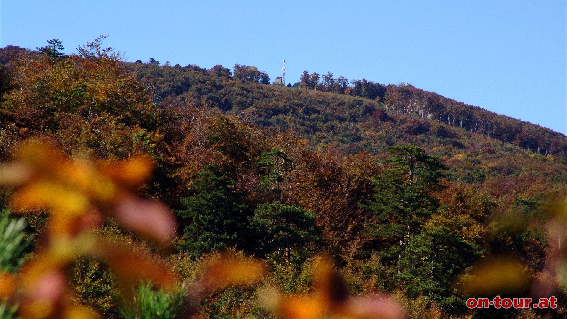 Der Hohe Lindkogel mit der Sina-Warte ist bereits erkennbar.