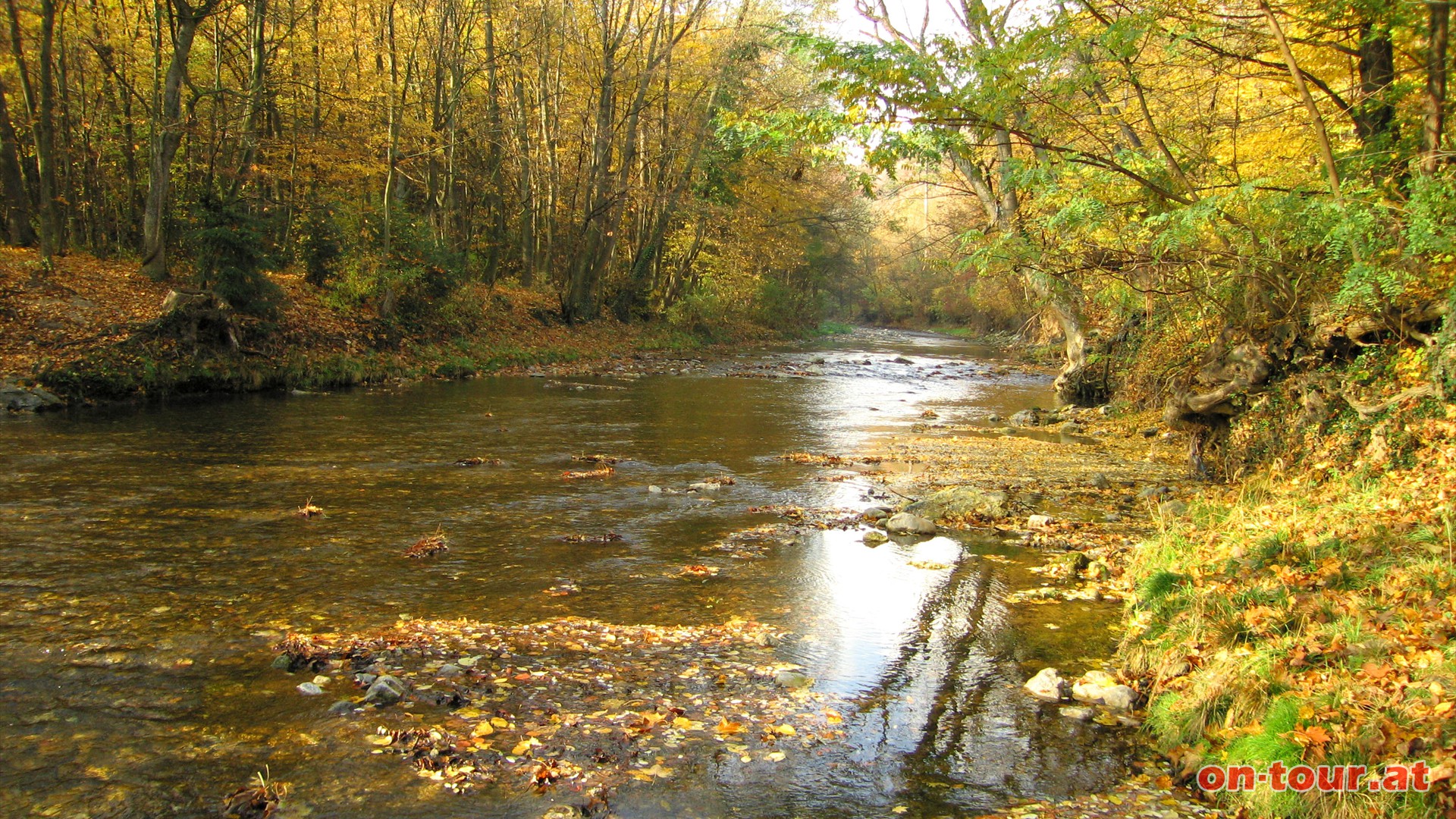 Im Herbst sorgt das vielfltige Farbenspiel der Natur fr besonders faszinierende Stimmungen.