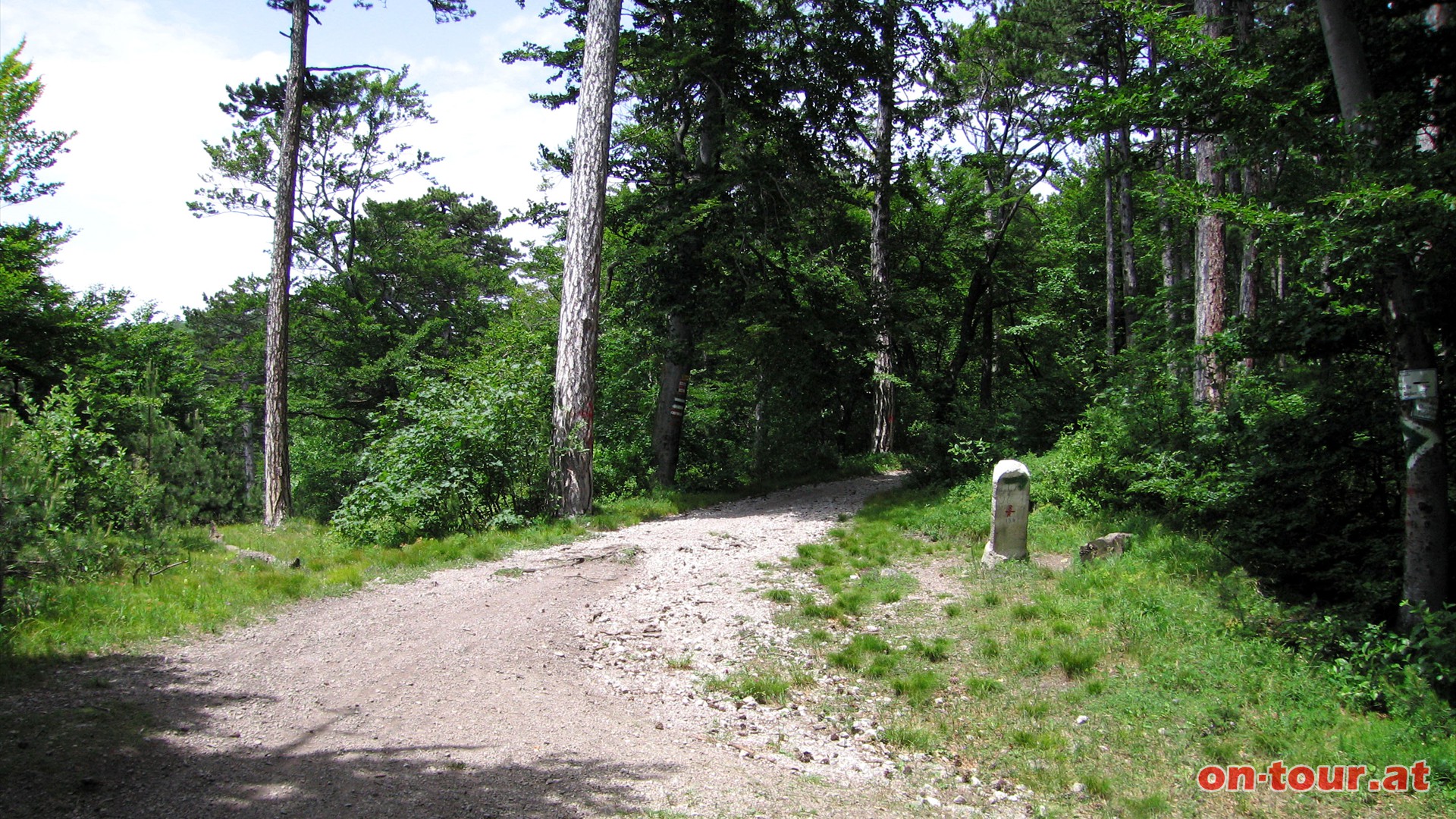 Zurck geht es wieder bis zum Abzweig Kalkgraben-Cholerakapelle - hier links bergab.