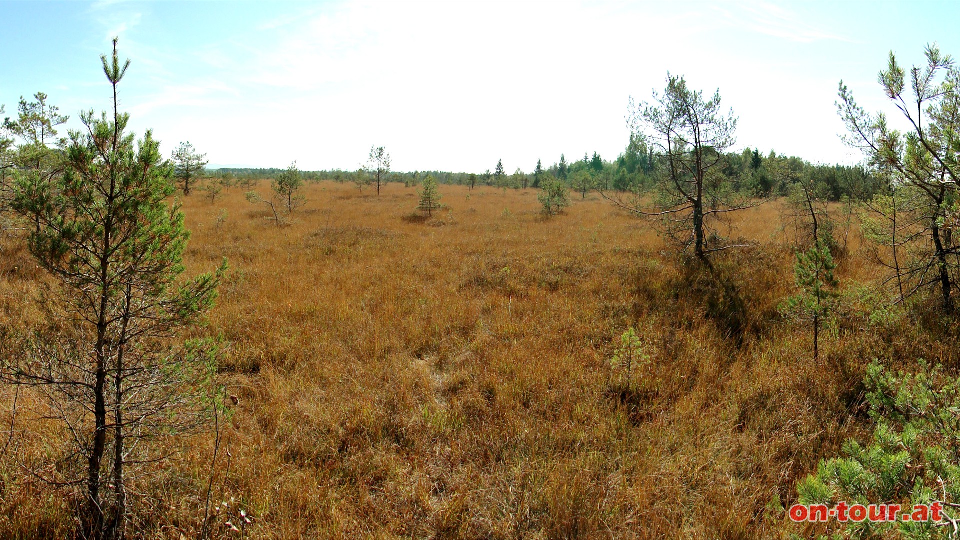 Eine Aussichtsplattform (am kleinen Rundweg) gewhrt einen weiten Blick in die Moorlandschaft.