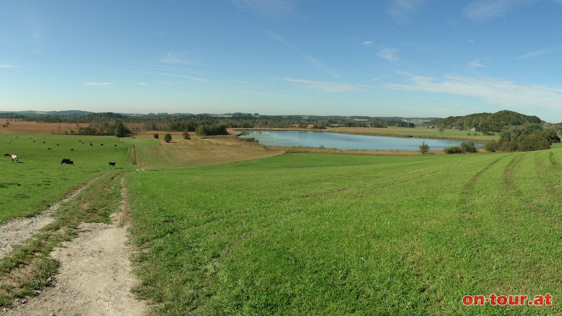 Herrlicher berblick ber das Naturschutzgebiet Pfeiferanger mit dem Seeleitensee.