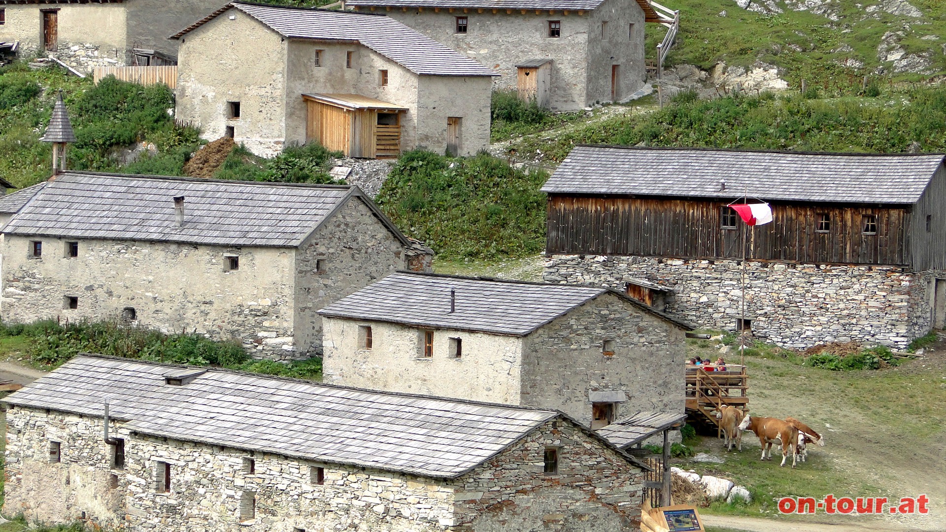 Die Almen sind im Besitz von Südtiroler Bauern, die jedes Jahr über 300 Jungrinder auf die Almen treiben.