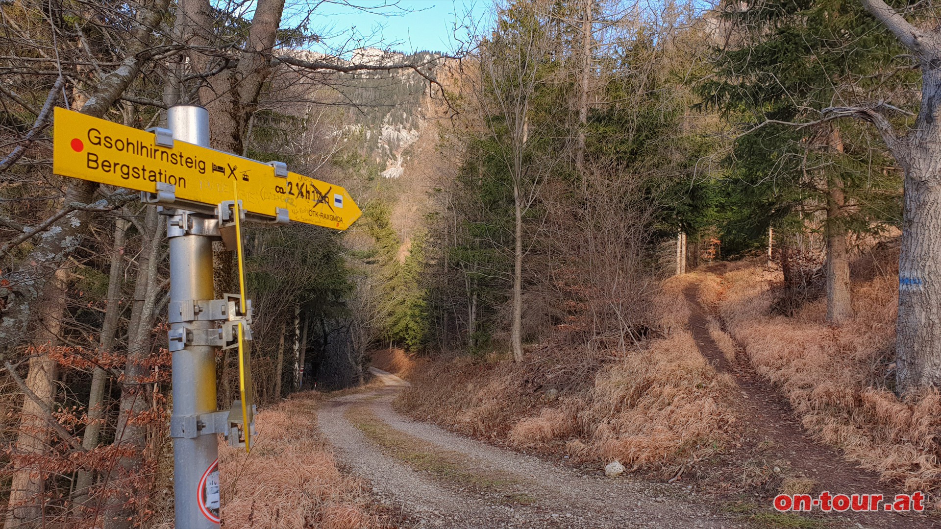 Abzweig zum Gsohlhirnsteig.