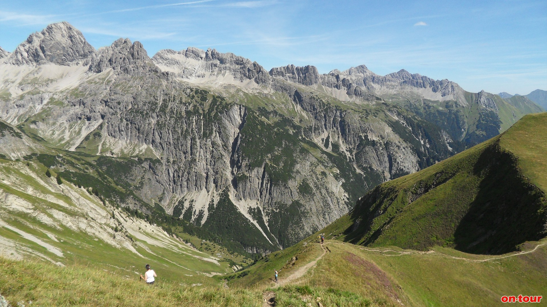 Unzählige Kalkspitzen der Allgäuer Alpen. Rote Flächen auf den Grasmatten weisen auf …