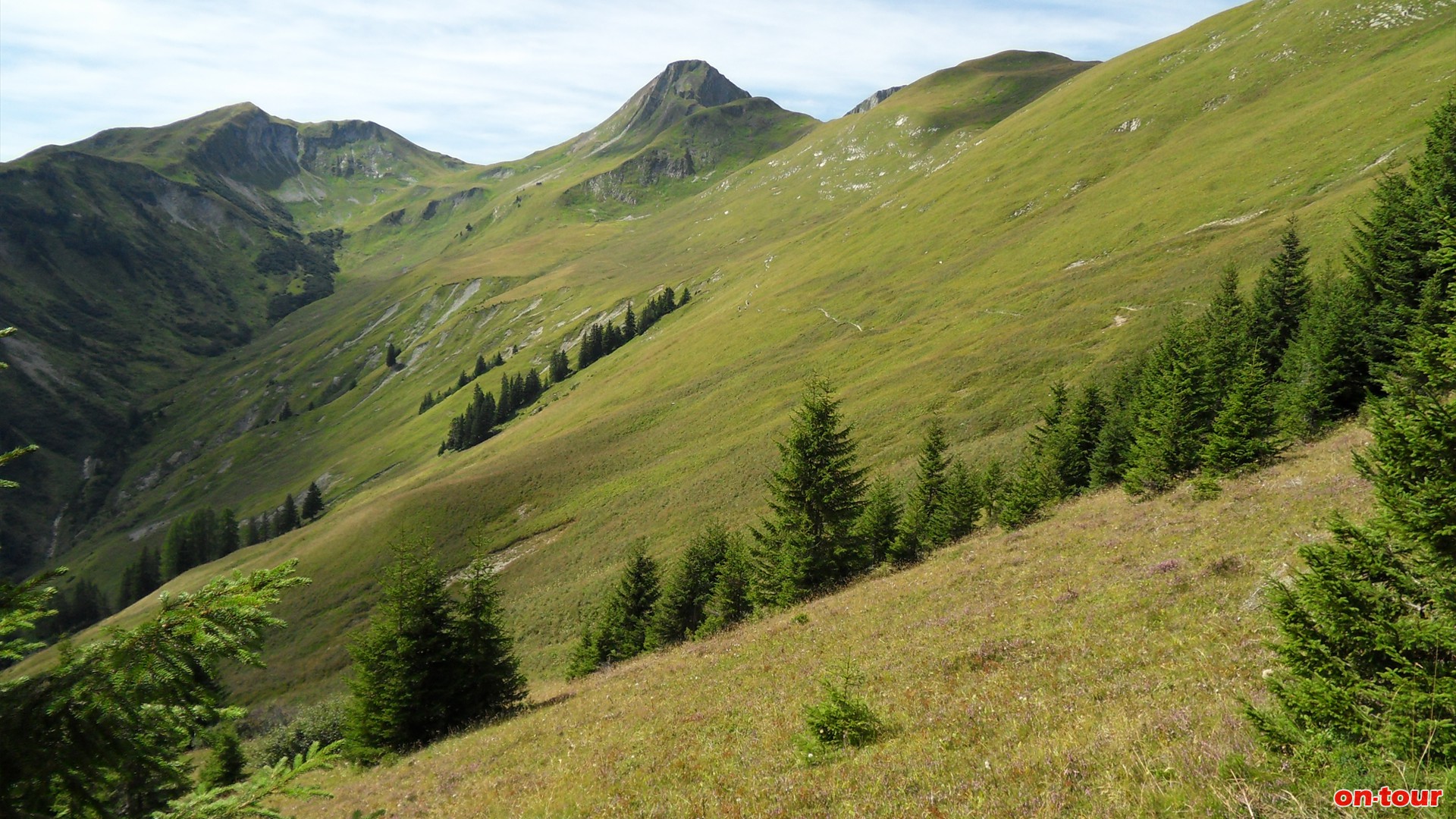Der Alpenrosensteig verläuft etwa 250 m unter dem Panoramaweg-Bernhardseck.