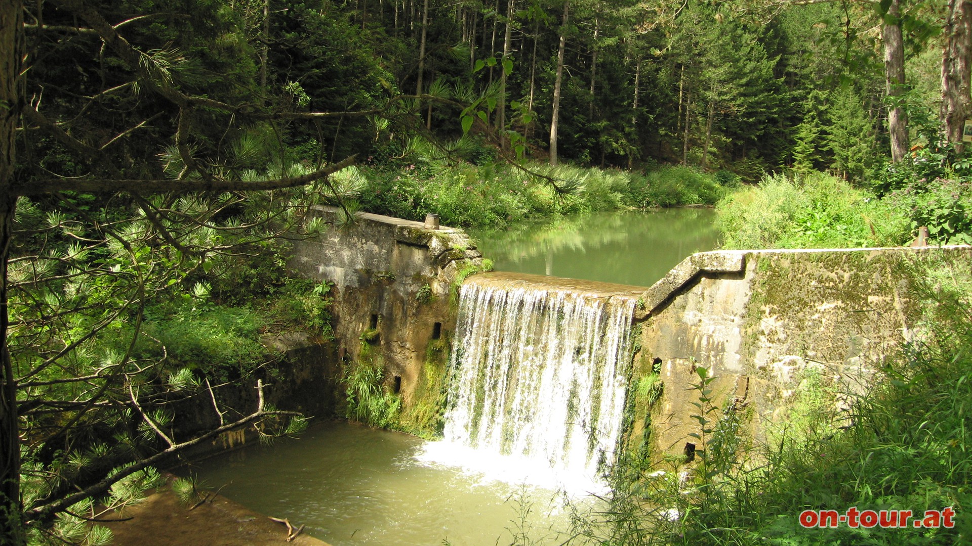 Die Johannesbachklamm wurde 1902 von den Wiener Naturfreunden erstmals begehbar gemacht.