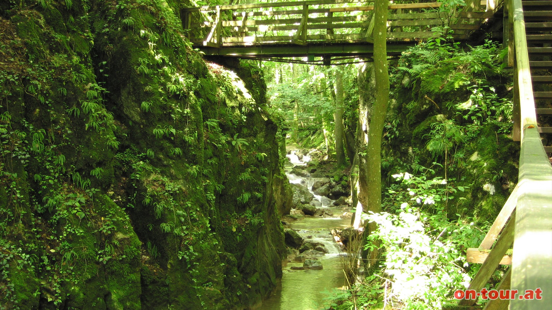 Ein Teil der Strecke ist nur ber Holztreppen, -brcken und -stege begehbar.