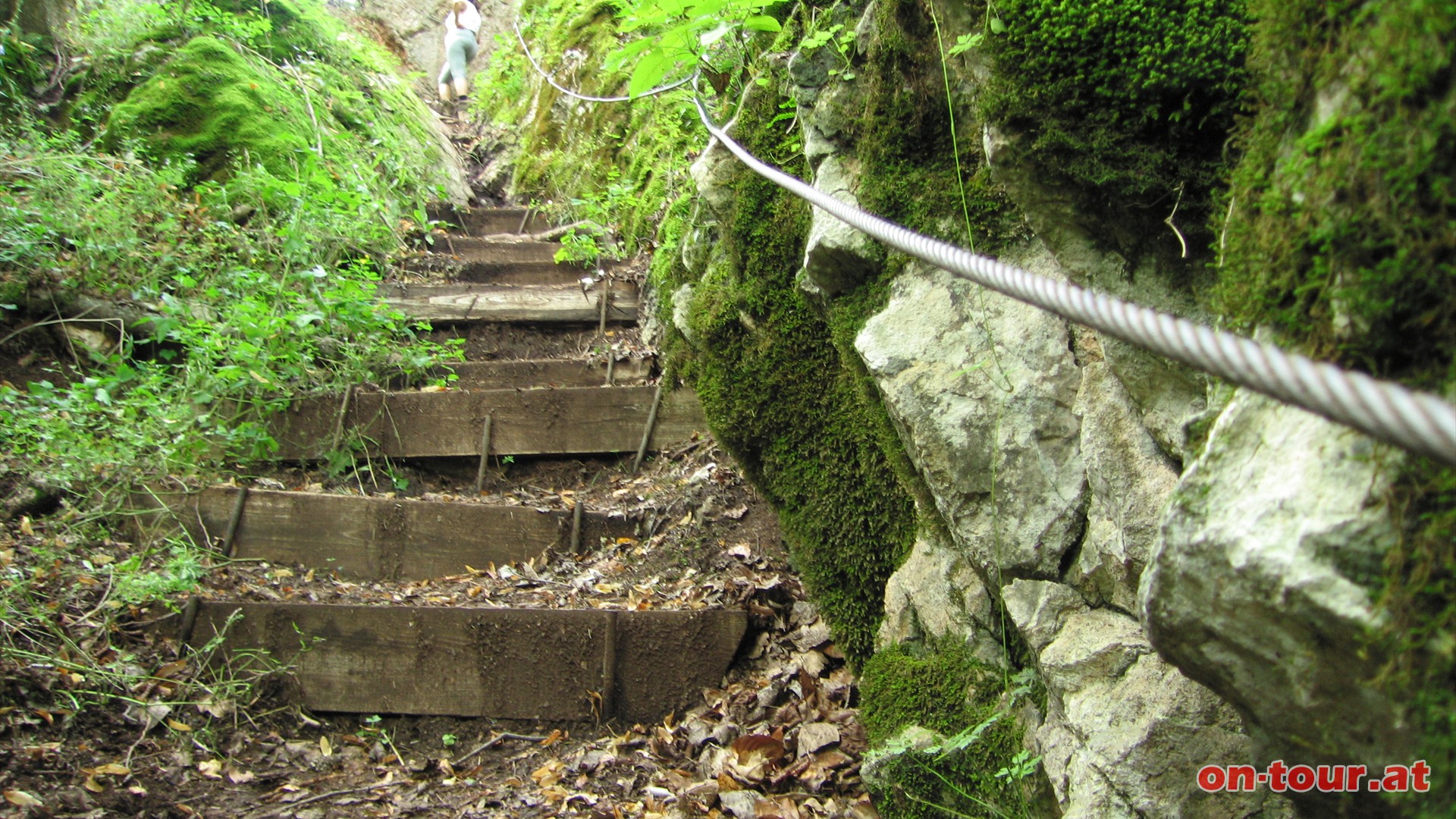 Nach Schrattenbach sdlich bergauf. Beim Abzweig Ruine Schrattenstein links.