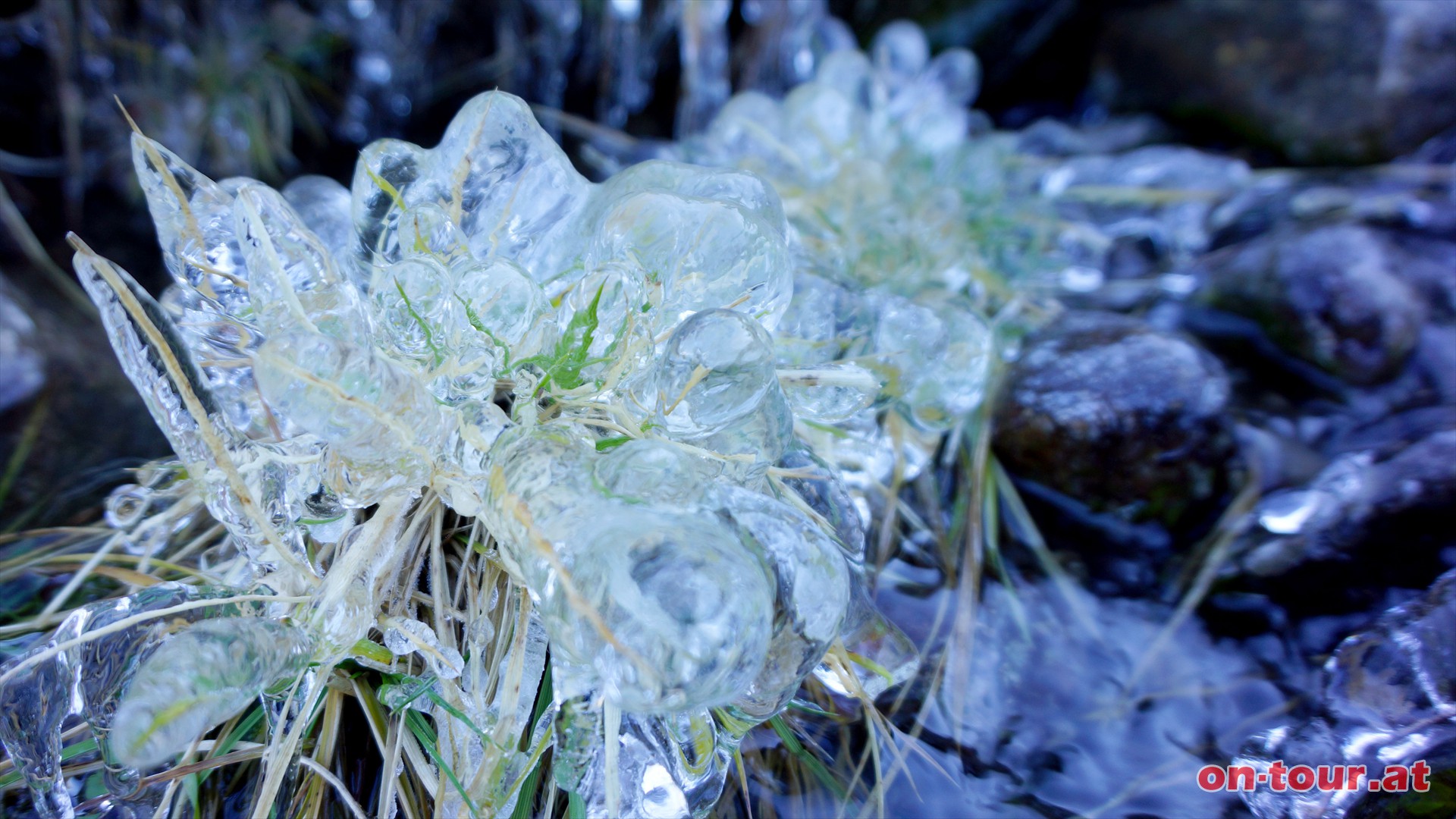Entlang des Grünbachs können im Herbst prächtige Eisskulpturen gedeihen. 