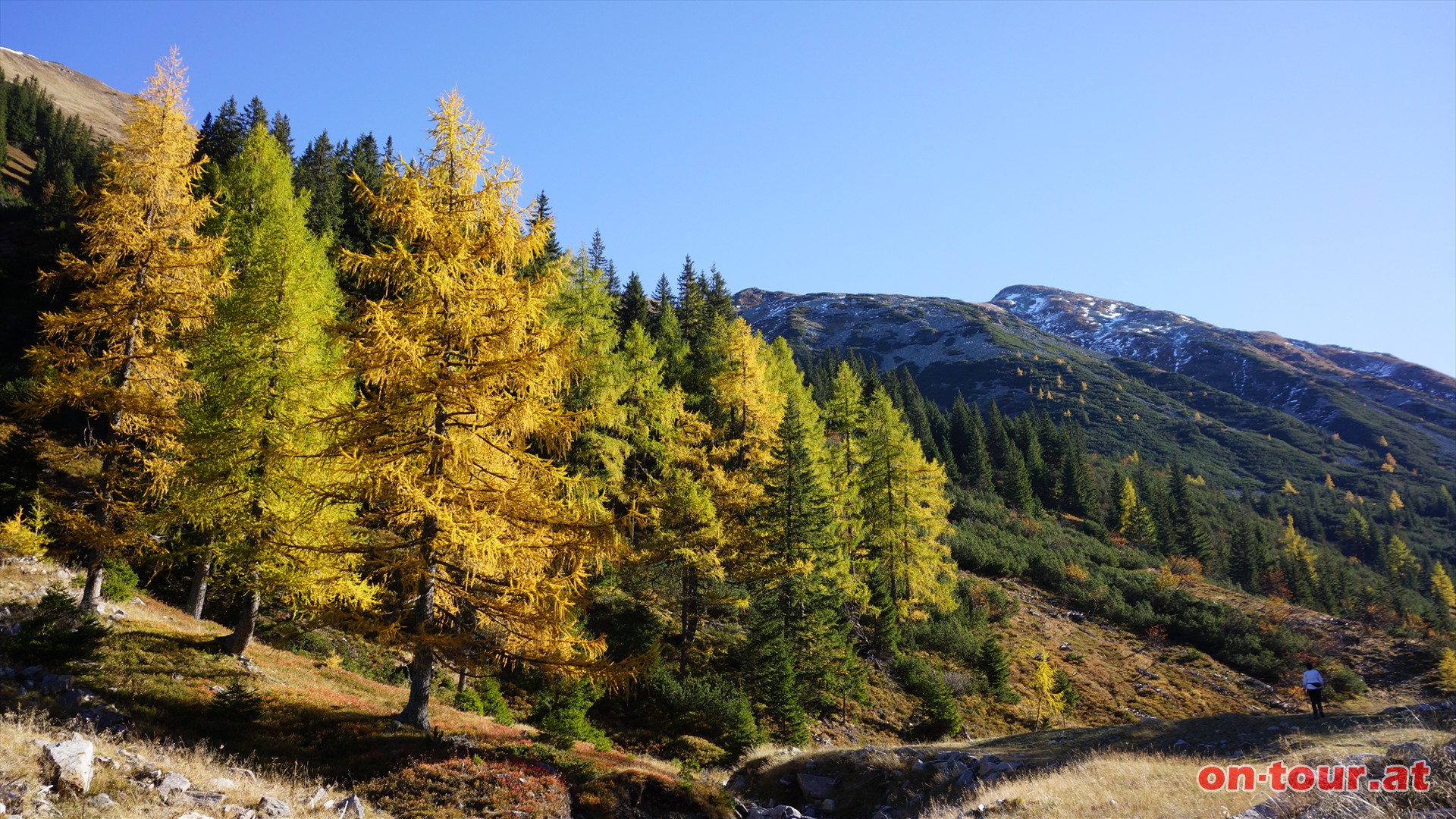 Richtung Schaunitztrl mit Blick zum Kerschkern.