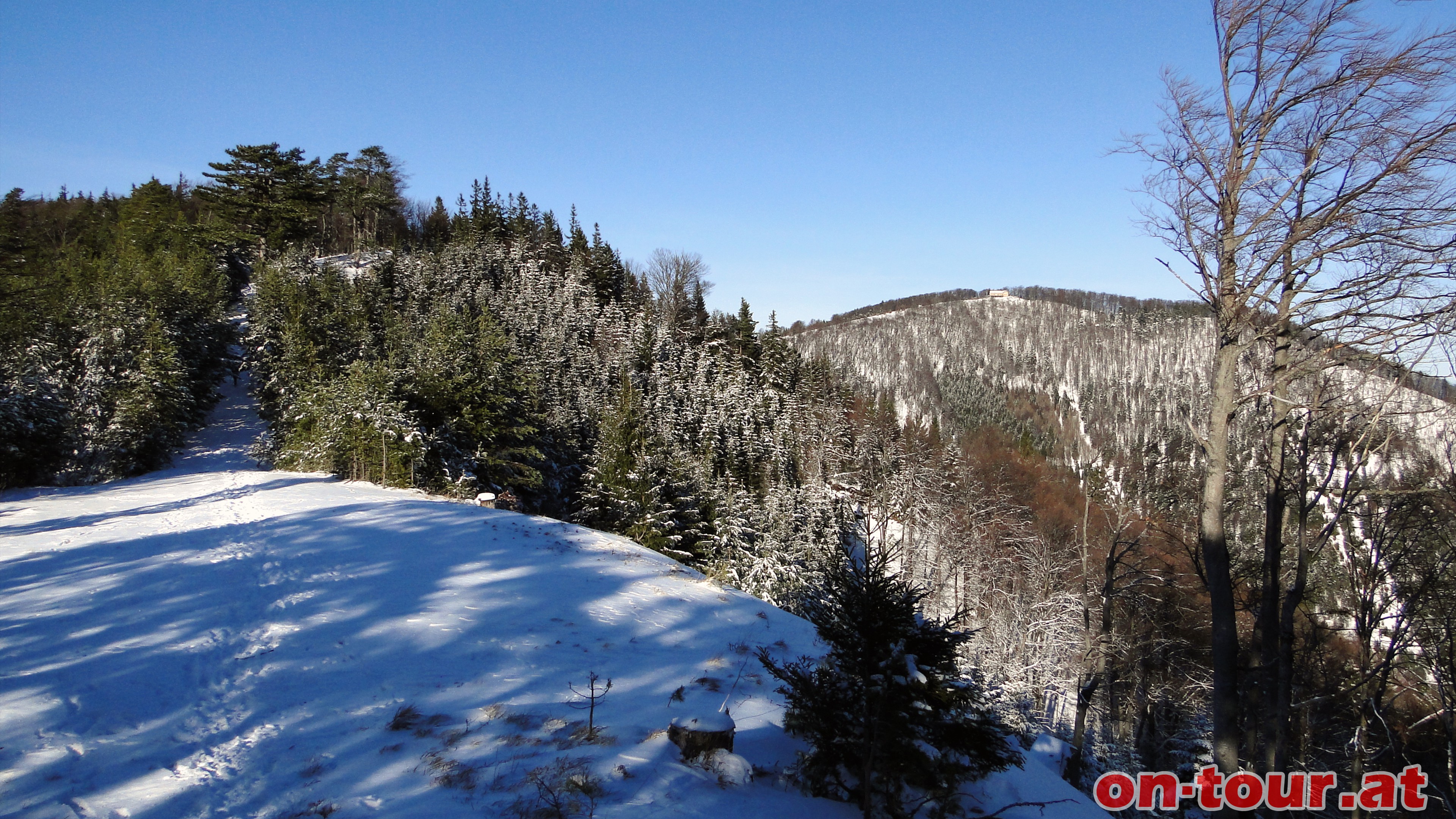 Am Enziansteig mit Blick zum Kieneck.