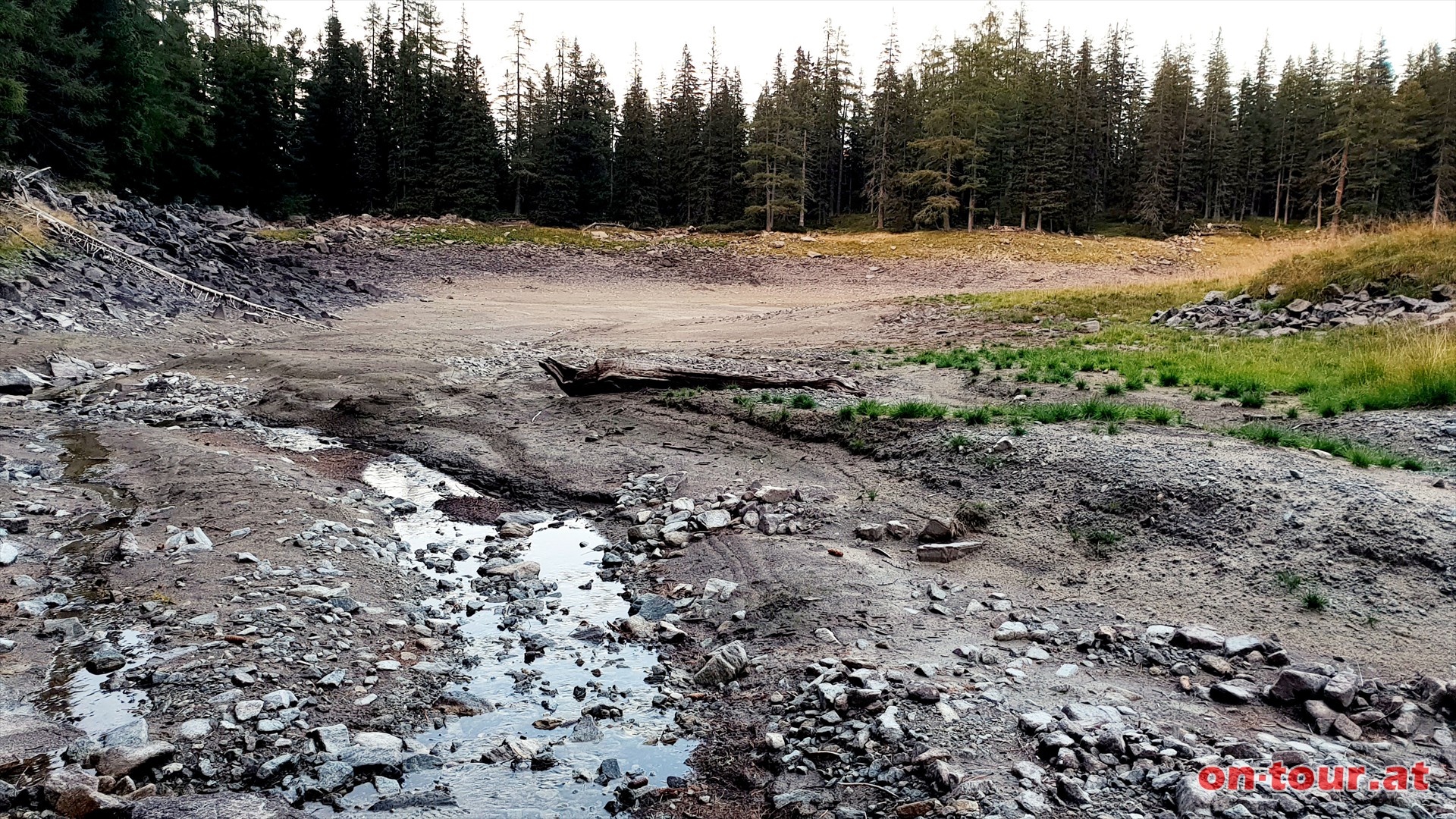 (Fast) ausgetrockneter Eberlsee. Der Klimawandel hinterlsst Spuren.