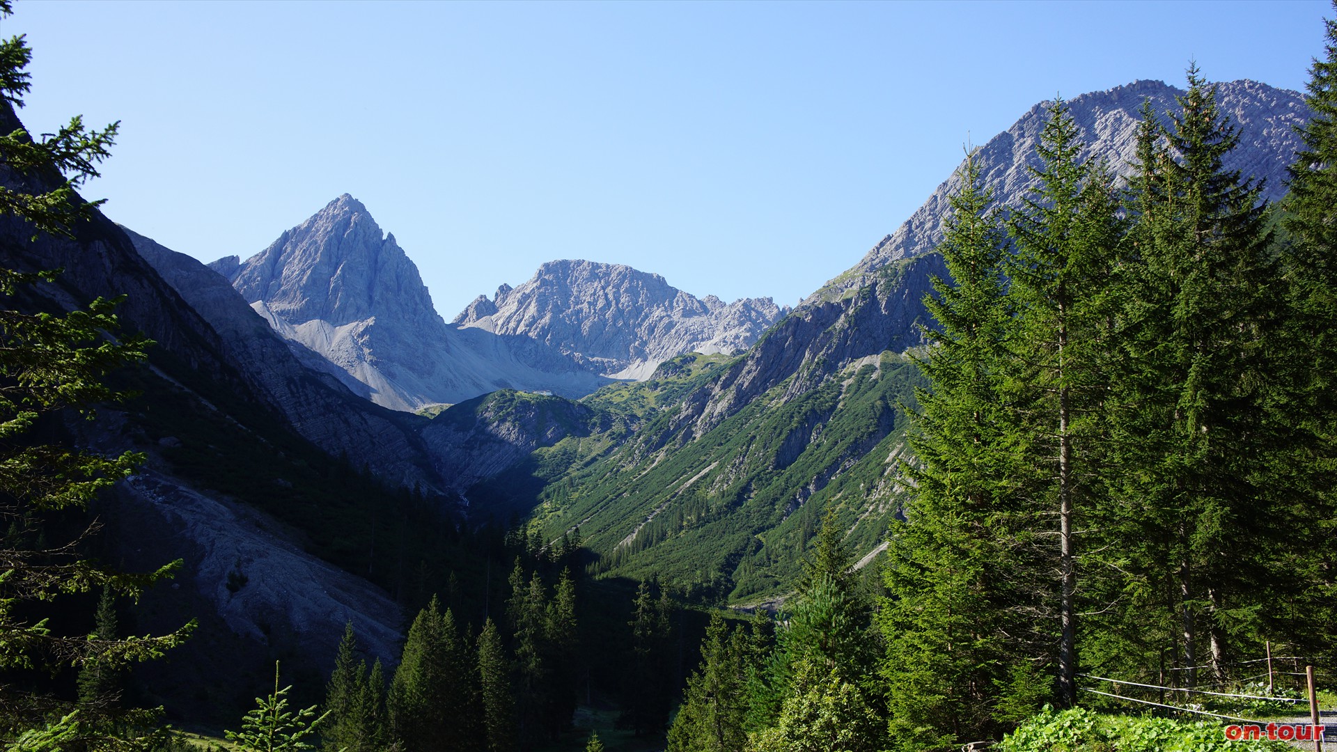 Durch das Angerletal zunchst gemtlich auf einer Forststrae bergauf.