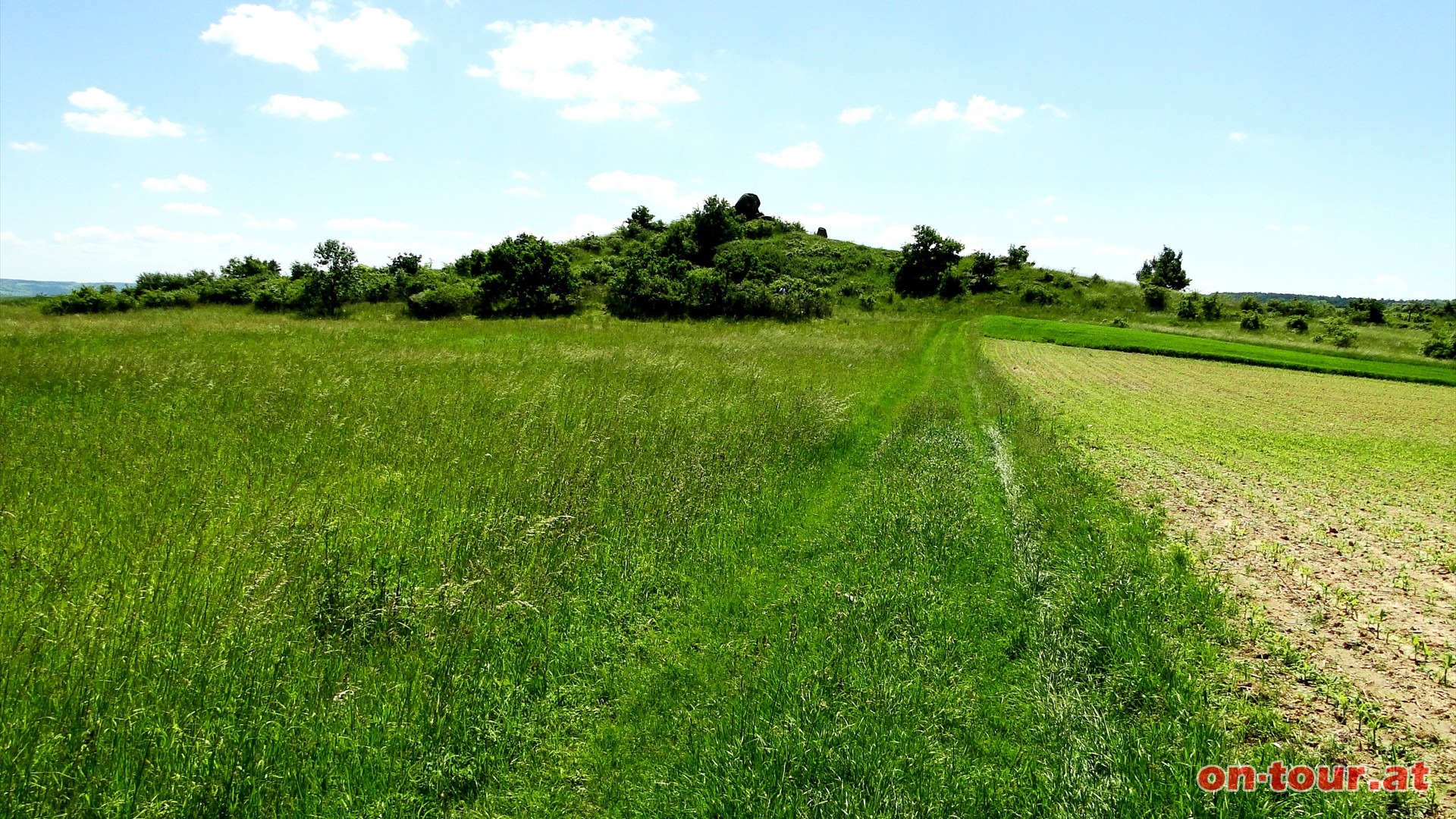 Vorbei an den Naturdenkmlern -Heideflche- und -Kogelsteine- geht es wieder zurck nach Grafenberg.