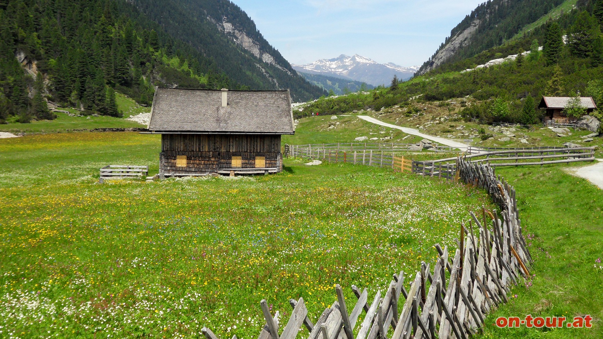 Wunderbare Almen-, Blumen- und Wiesenwelt im Achental.