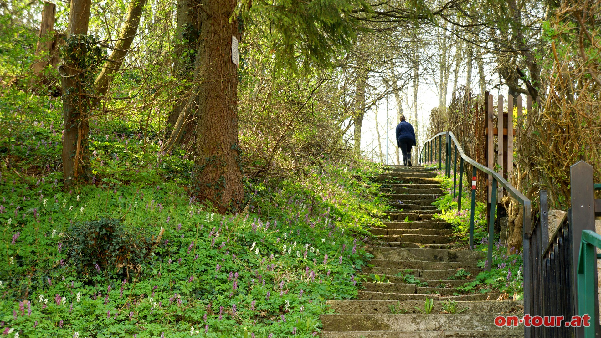 ......Sgestiege, erinnern an die alte Sge. Nun ber die Stiege bergauf, die Strae queren und weiter bergauf ......