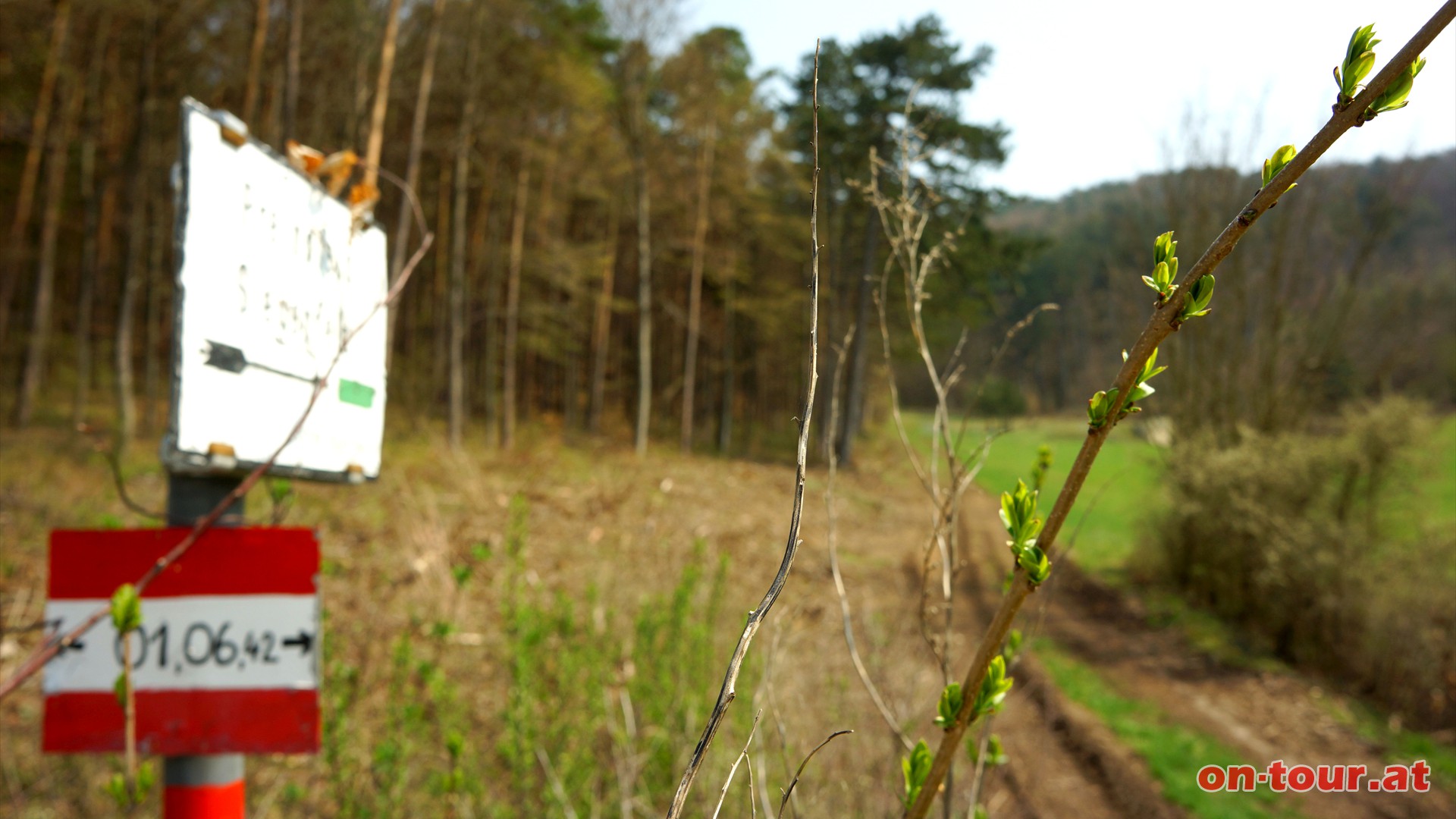 .... Wegkreuzung und entlang der grnen Markierung ber den Hhnerkogel nach Preinsfeld.