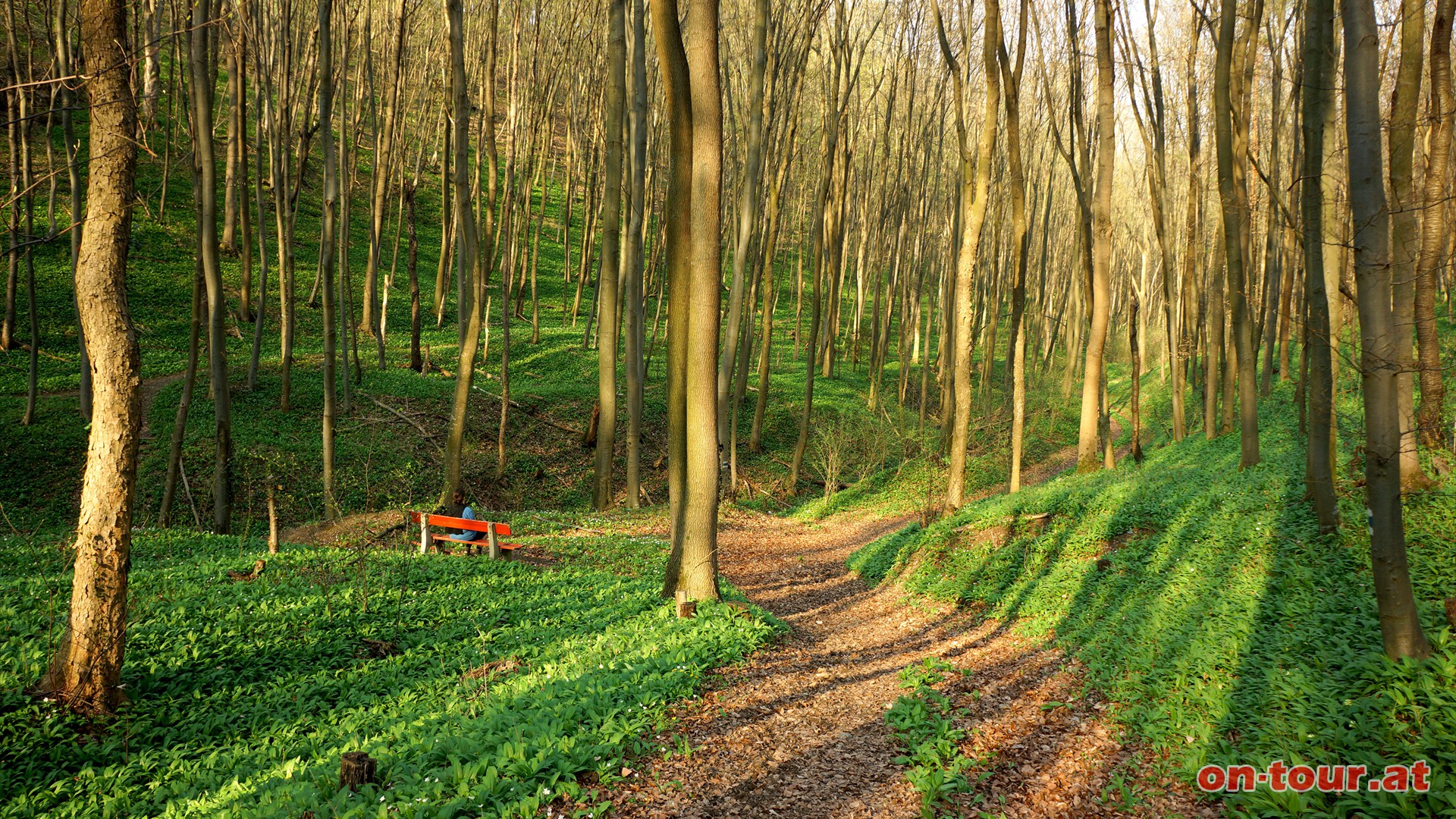 Der folgende Graben entpuppt sich als eine wunderbare idyllische grne Naturoase mit einem lieblichen Bchlein.