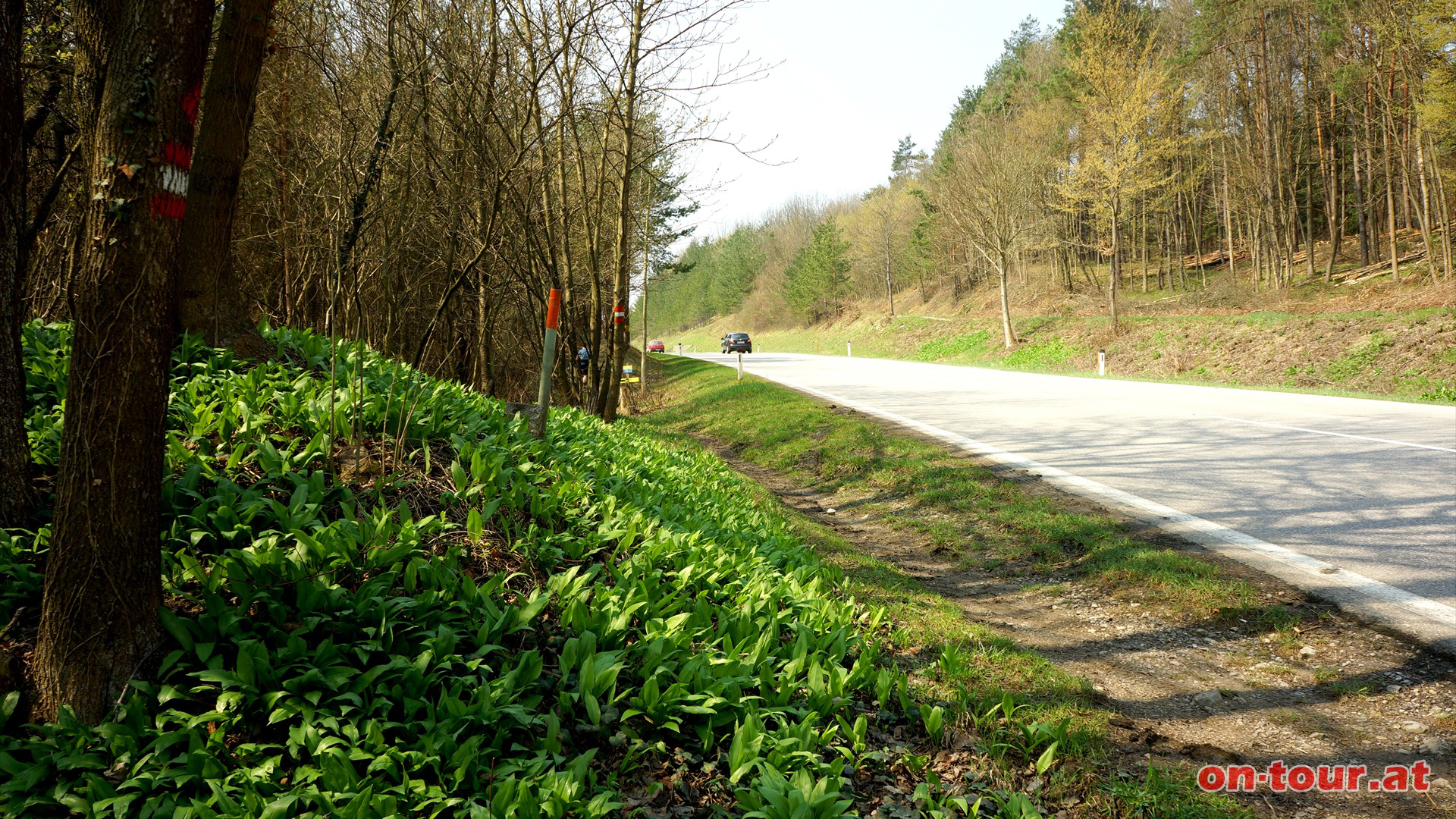 Nach der Straenquerung erleben wir ein kleines Wunder. Nein, uns ist nicht die Muttergottes erschienen, sondern  ....