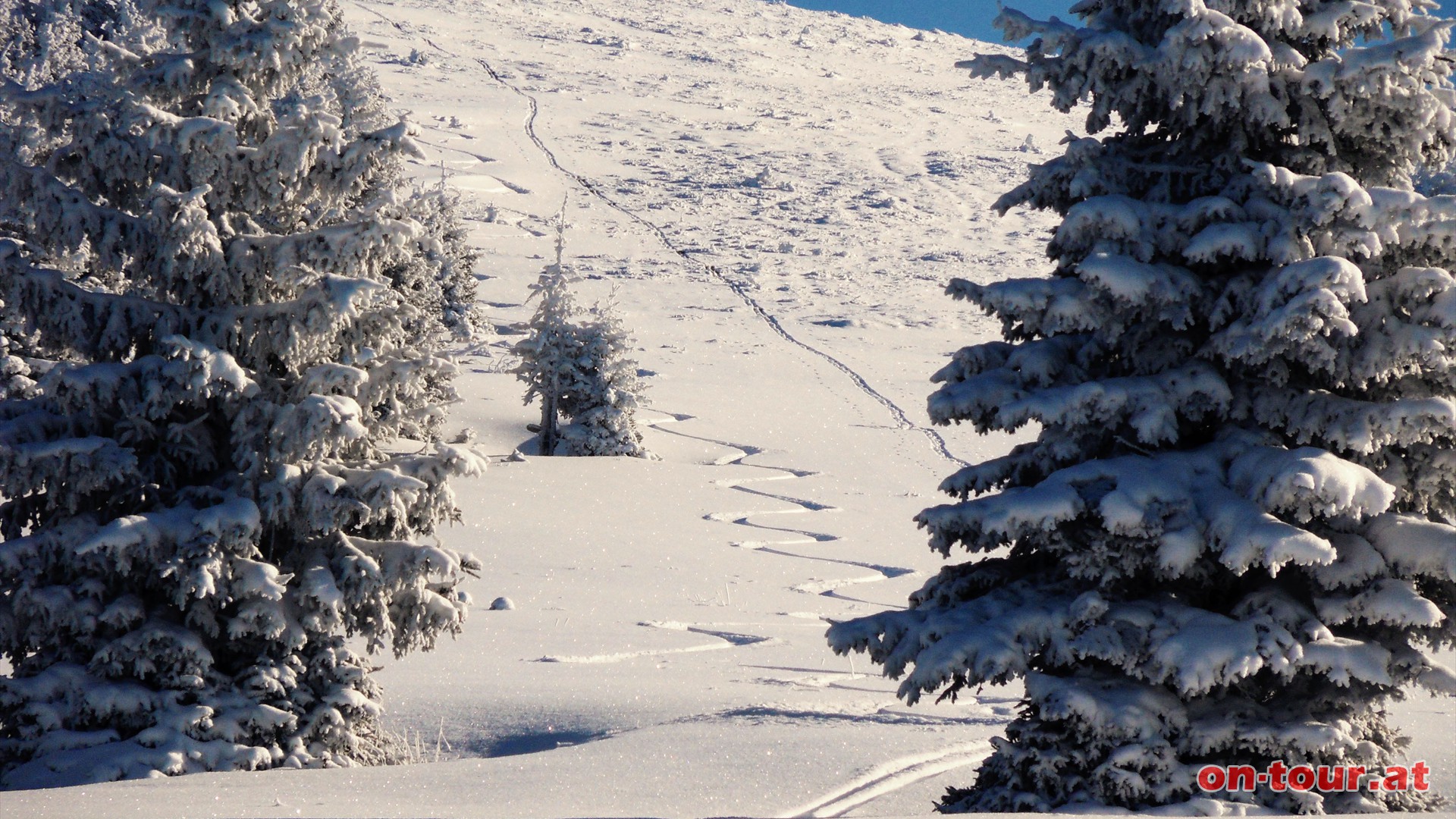 Fast jungfrulich der Weg. Eine einzige Aufstiegs- und Abfahrtsspur unterbricht die Neuscheeauflage.