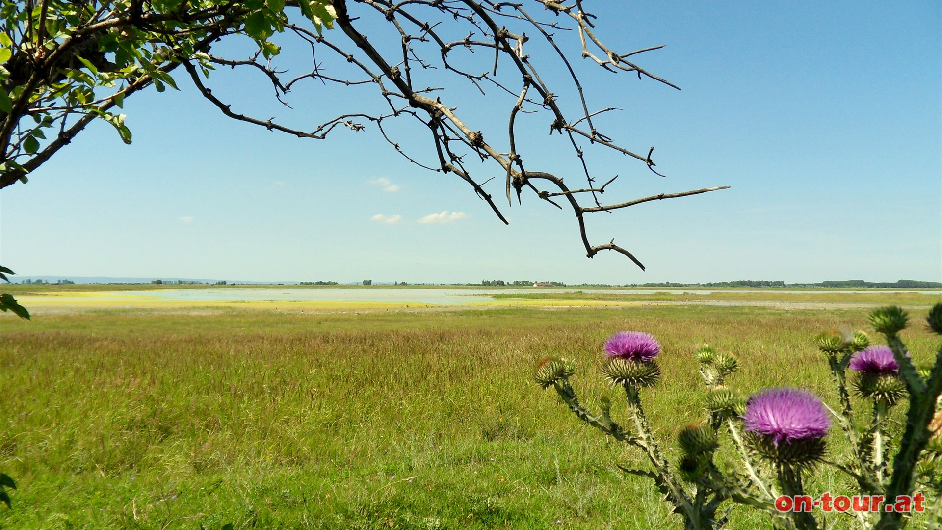 Hutweiden, dahinter die Lange Lacke.