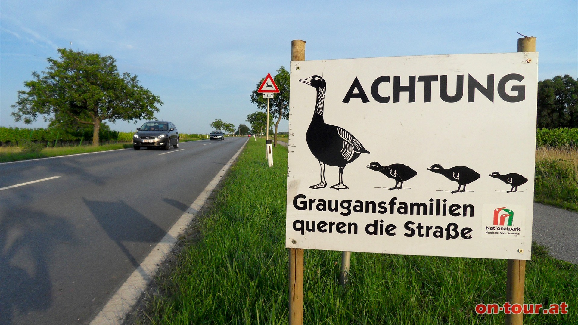 Schon bei der Anfahrt wird klar, dass Tiere hier eindeutig Vorrang haben.