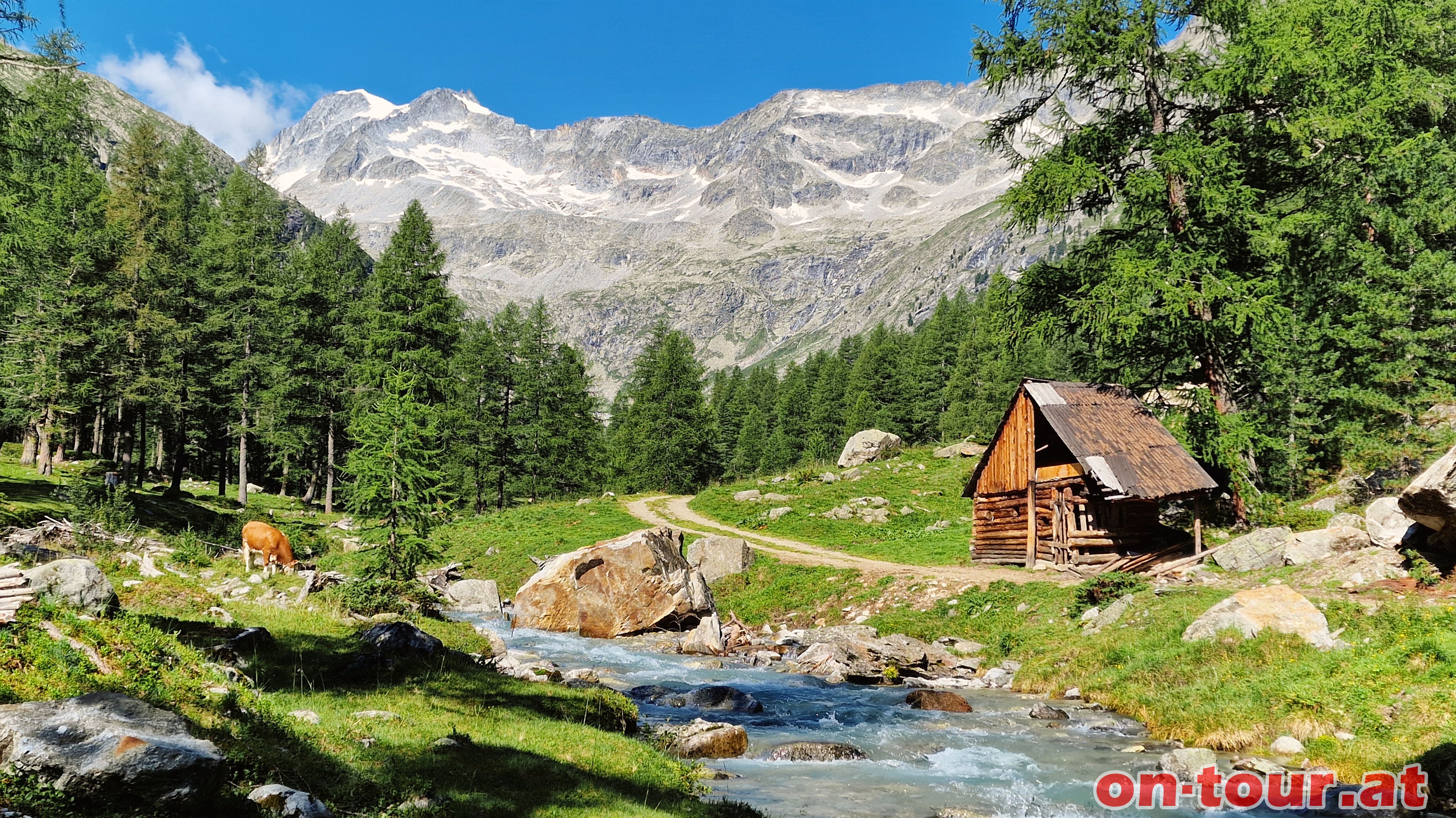 Patscher Tal mit Hochgall.