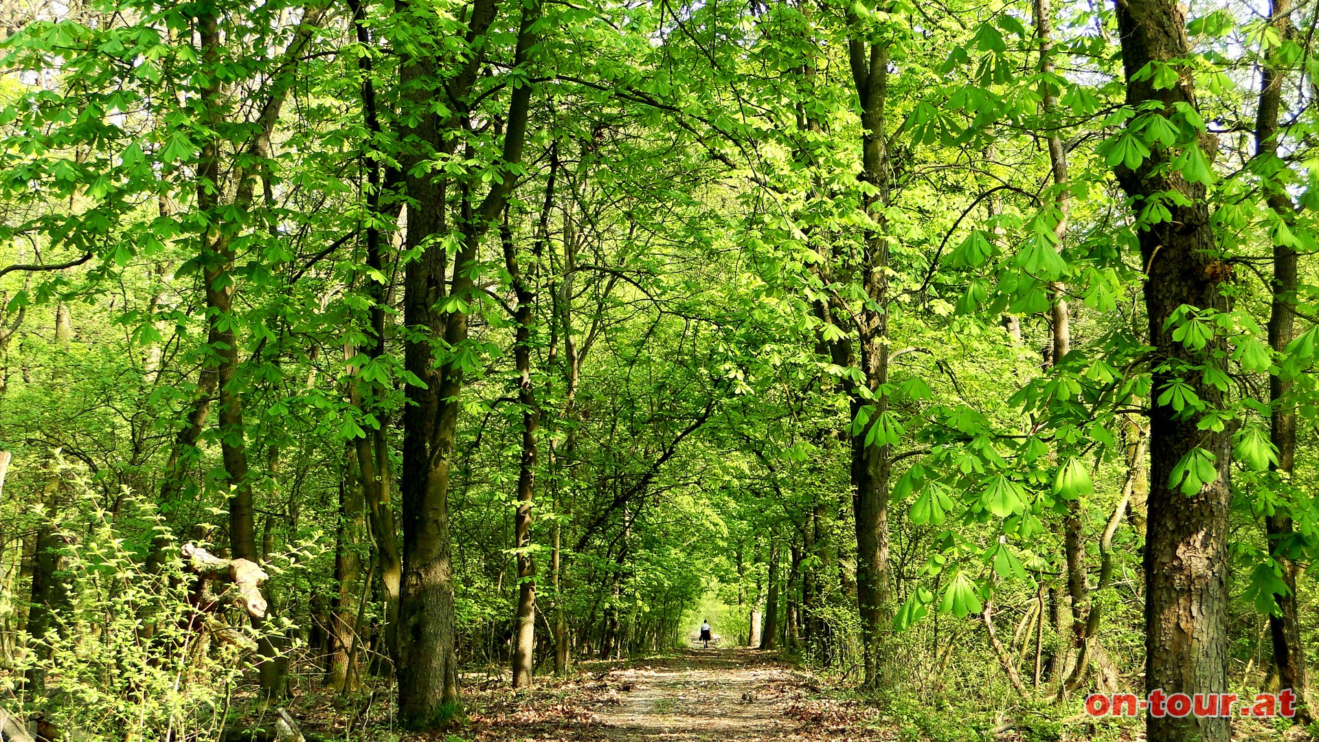 Bei der Bundesstrae fhrt der Unkenweg (Grn) wieder in das Naturreservat hinein.