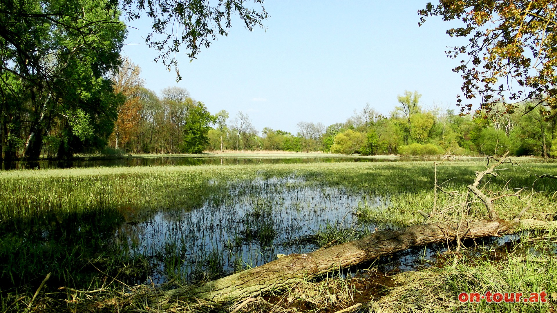 Nun zum Marchegger Naturreservat und den Rundwegen.