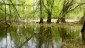 Rechts den Biberweg entlang. Auch hier kann das, fr viele Aubewohner lebenswichtige Wasser, ein Hindernis sein.